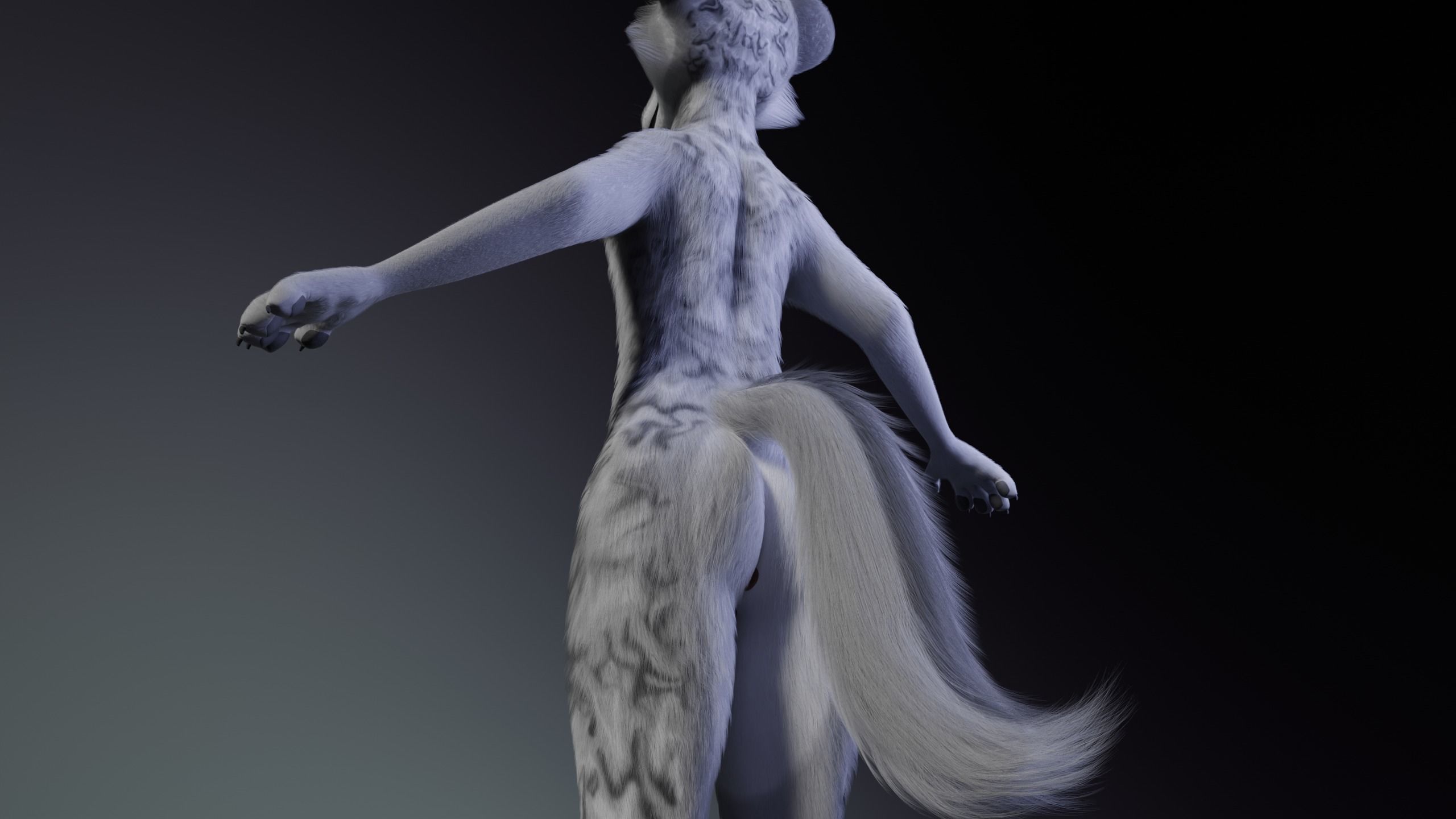 Magnus Anthro Wolf 3D model_8