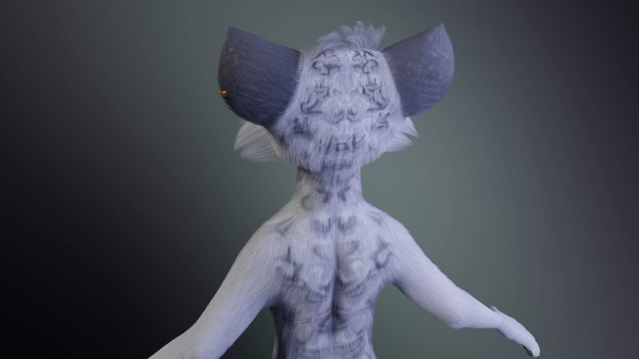 Magnus Anthro Wolf 3D model_6