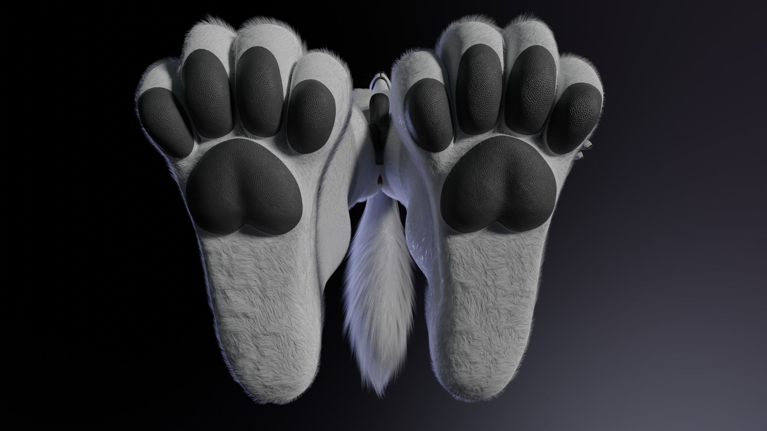 Magnus Anthro Wolf 3D model_15