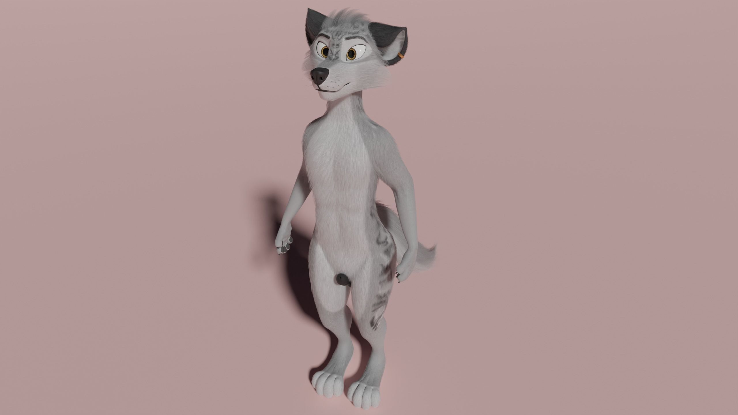 Magnus Anthro Wolf 3D model_44