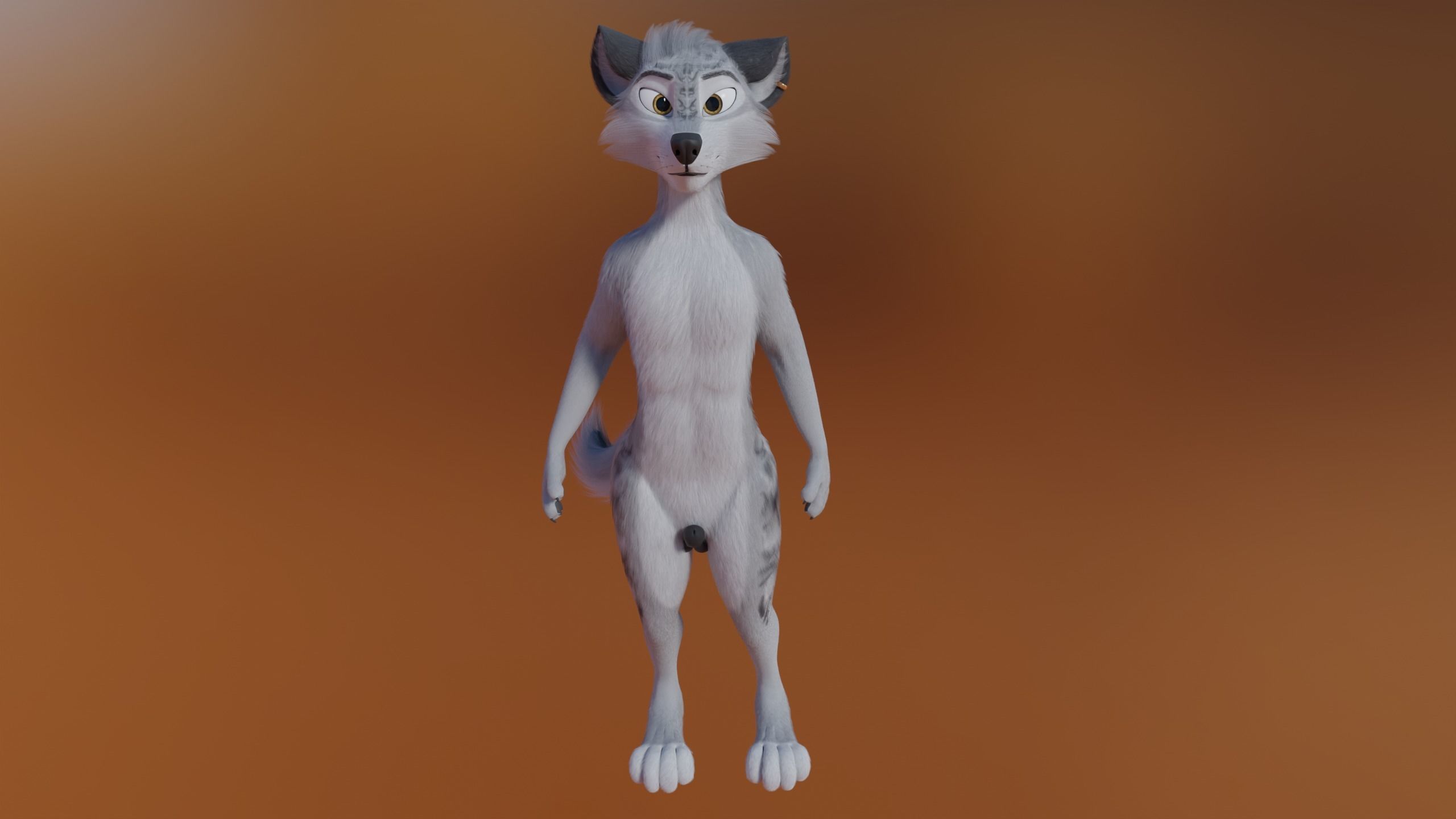 Magnus Anthro Wolf 3D model_23