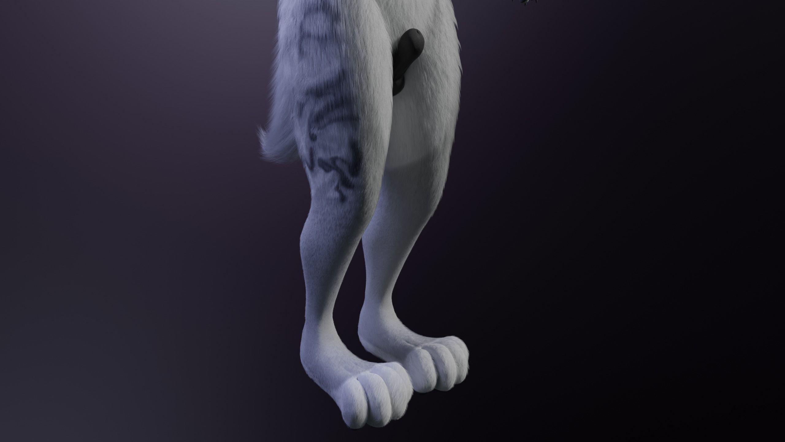 Magnus Anthro Wolf 3D model_9