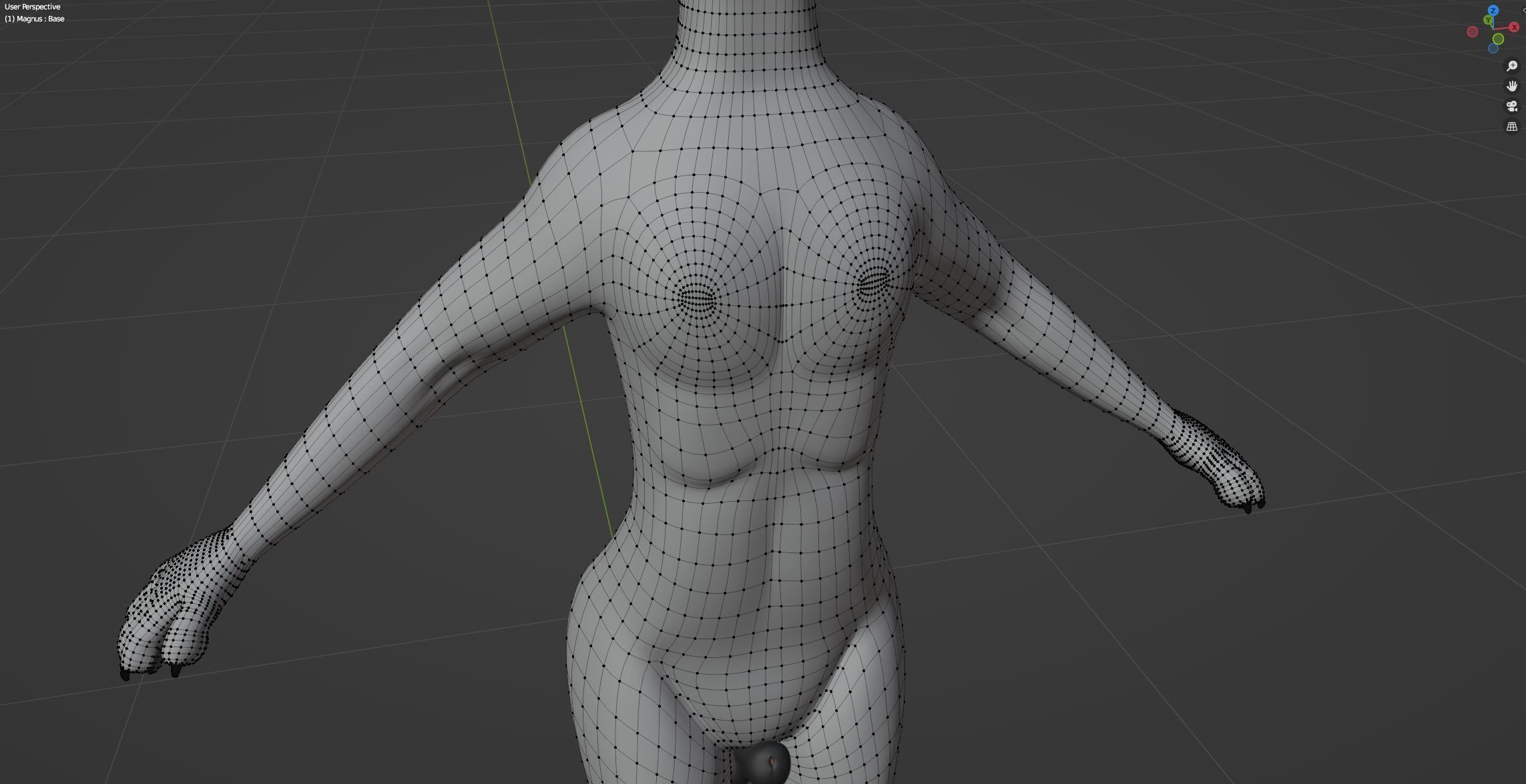 Magnus Anthro Wolf 3D model_75