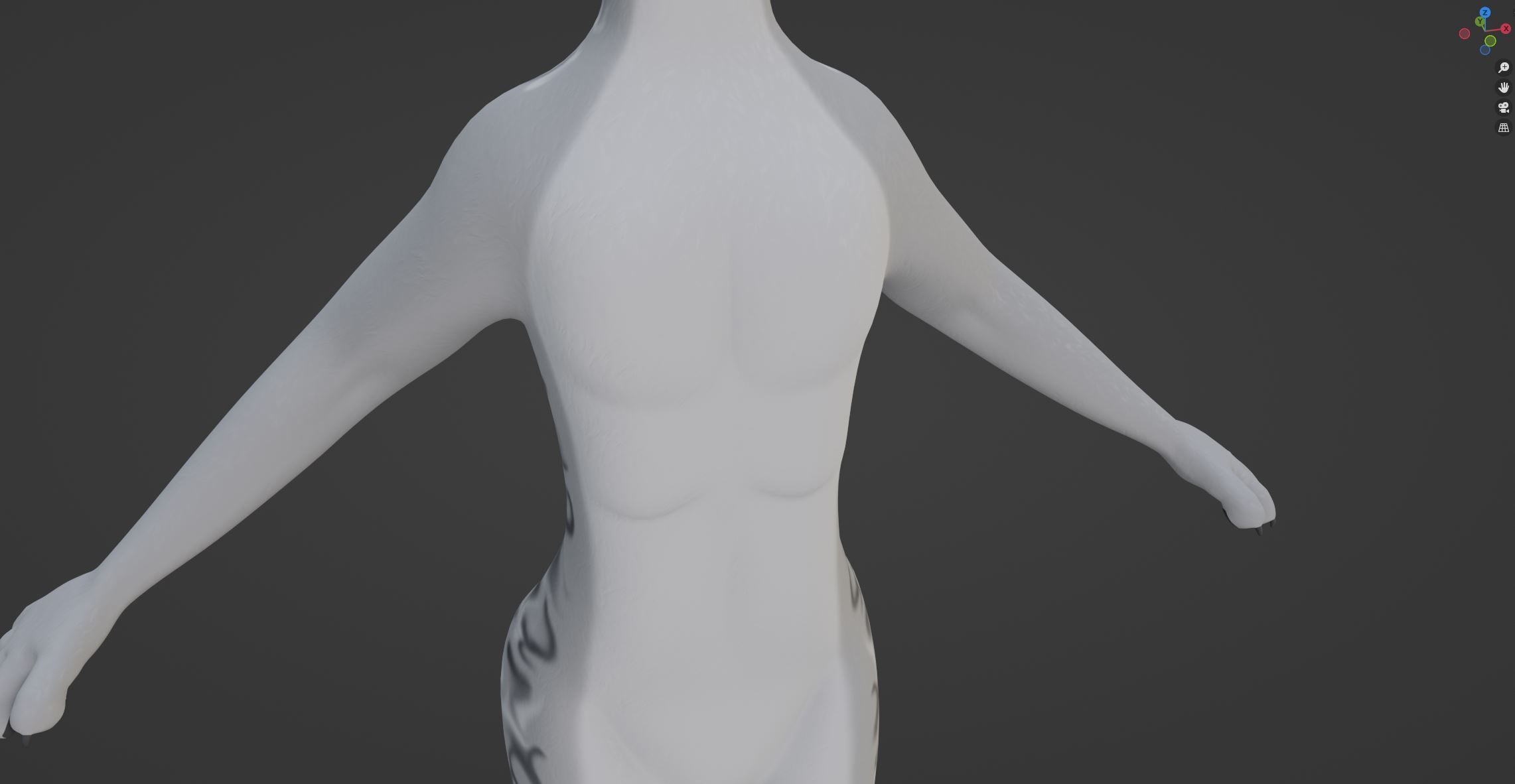 Magnus Anthro Wolf 3D model_59