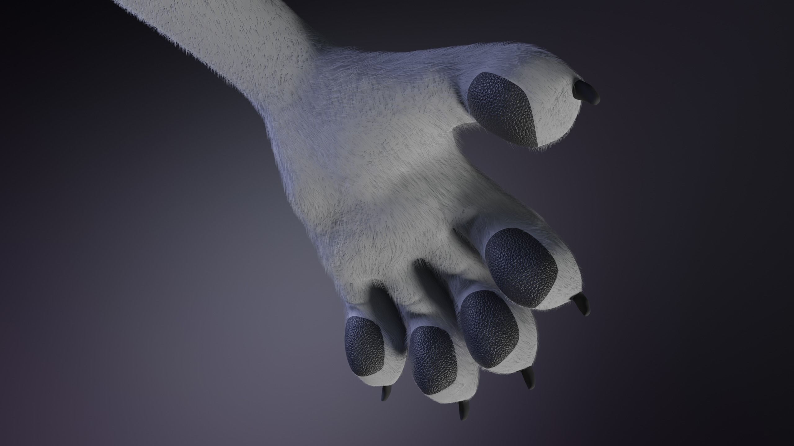 Magnus Anthro Wolf 3D model_13