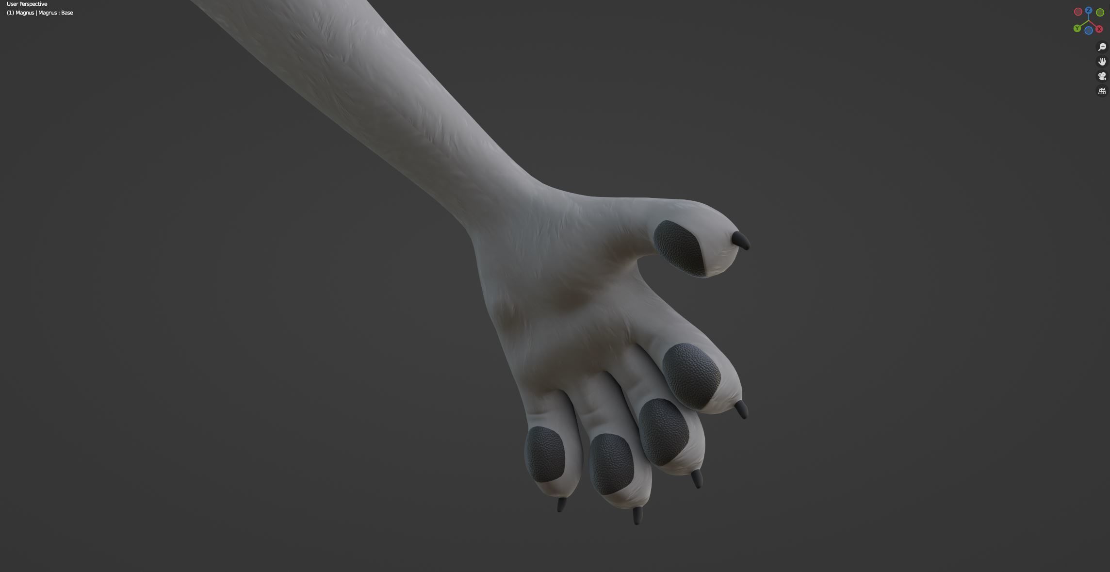 Magnus Anthro Wolf 3D model_67