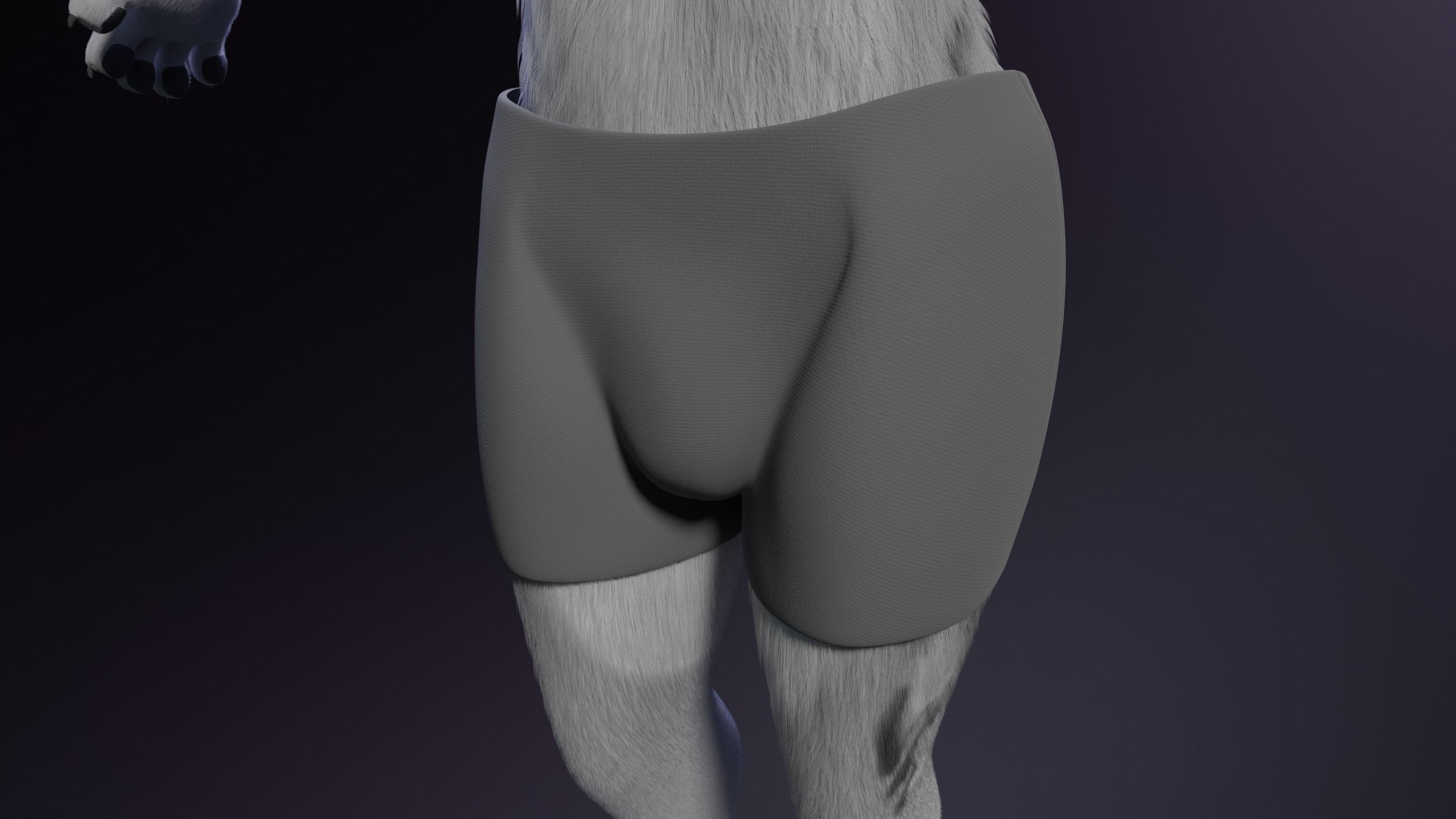 Magnus Anthro Wolf 3D model_29