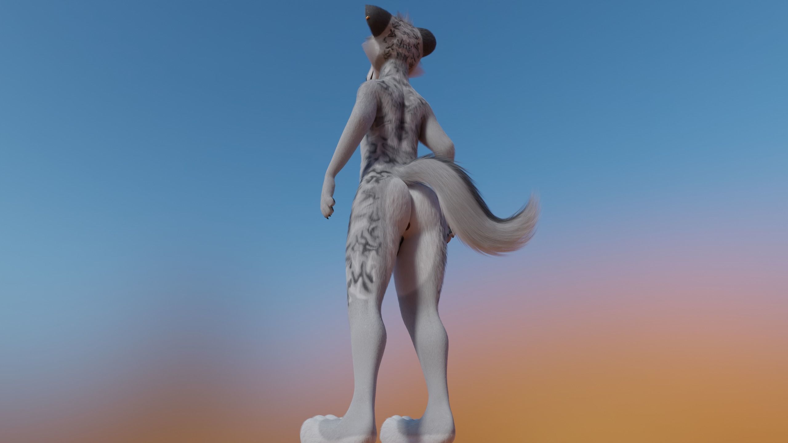 Magnus Anthro Wolf 3D model_25