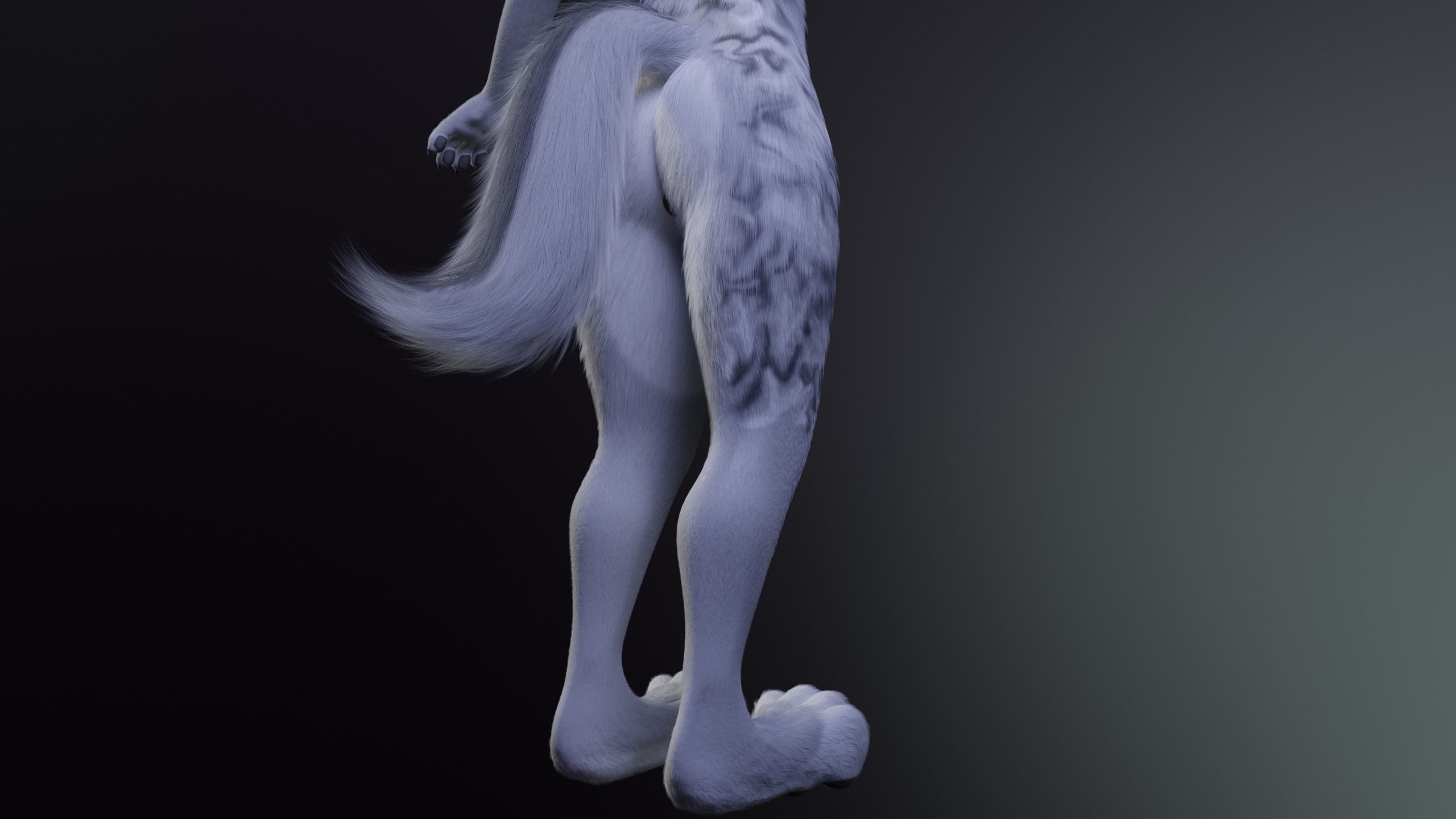 Magnus Anthro Wolf 3D model_10