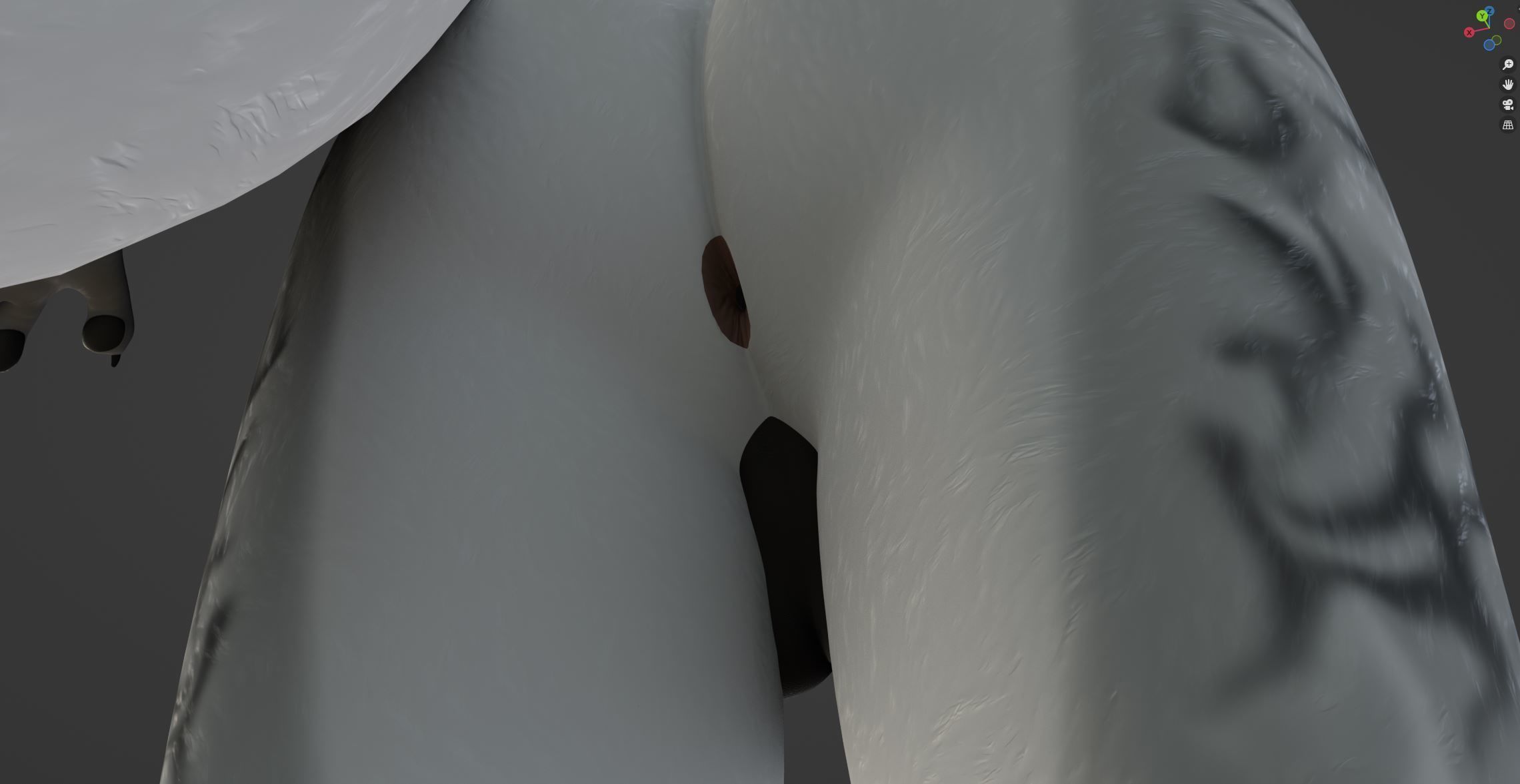 Magnus Anthro Wolf 3D model_63