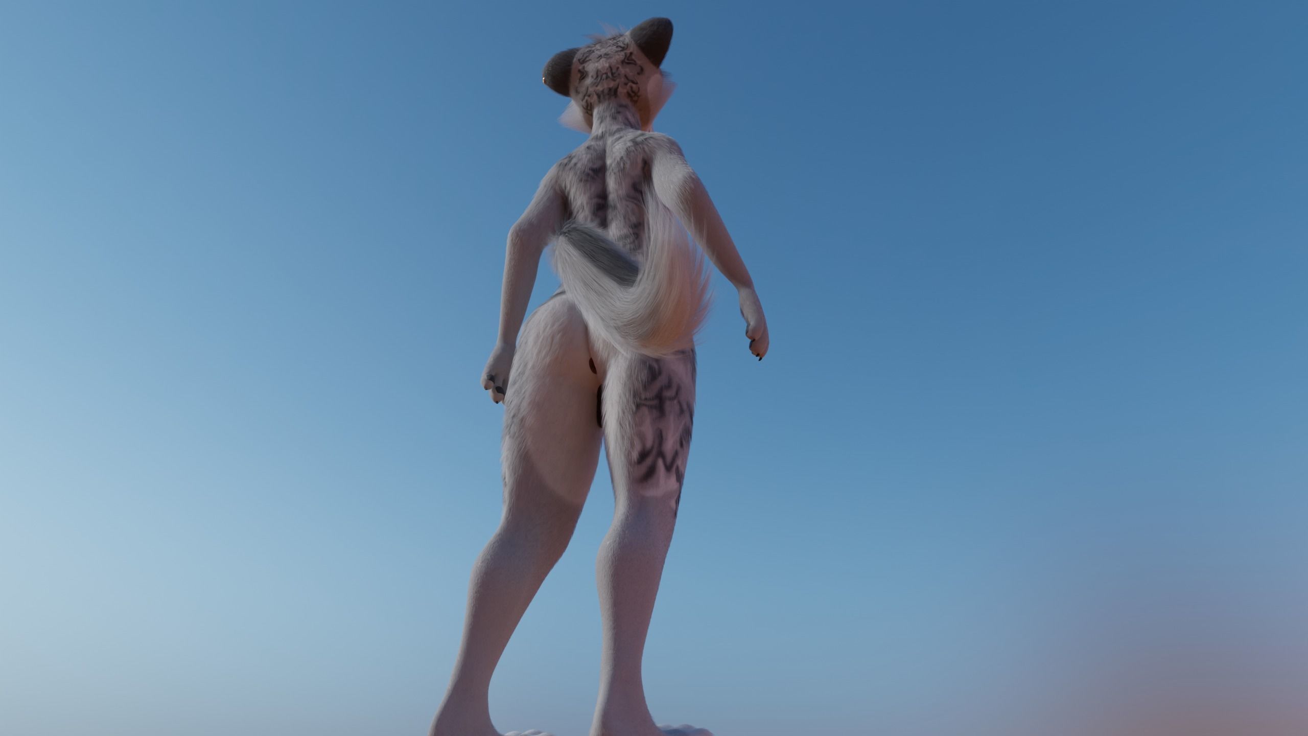 Magnus Anthro Wolf 3D model_26