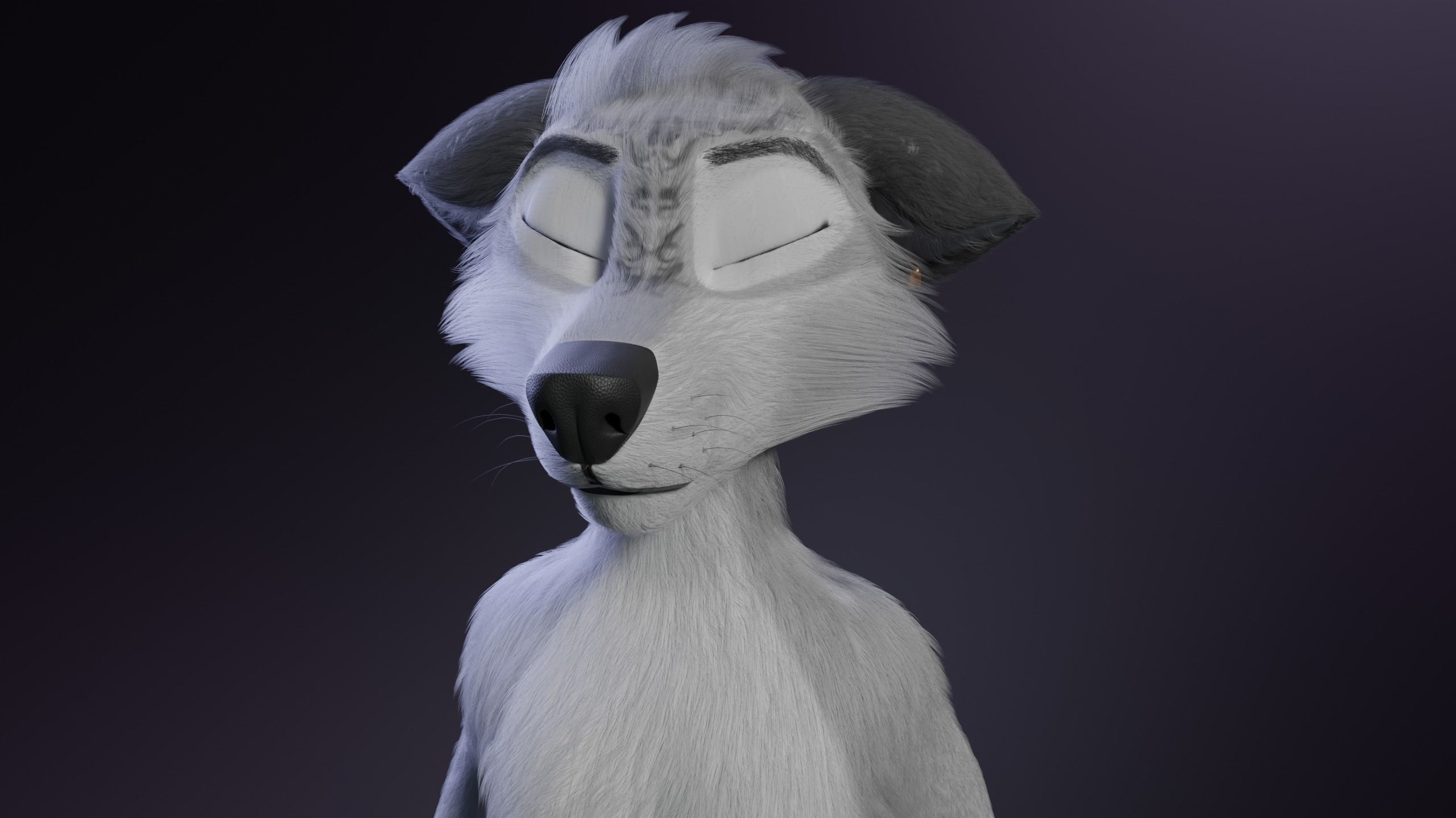 Magnus Anthro Wolf 3D model_41