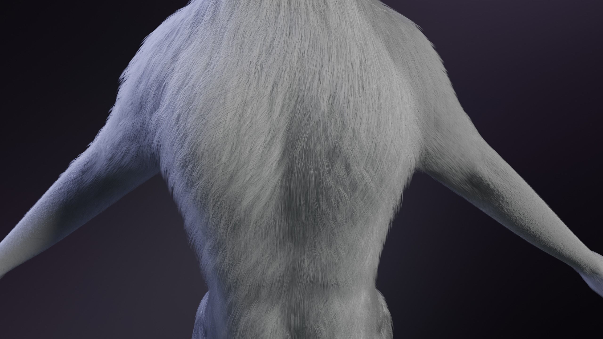 Magnus Anthro Wolf 3D model_18