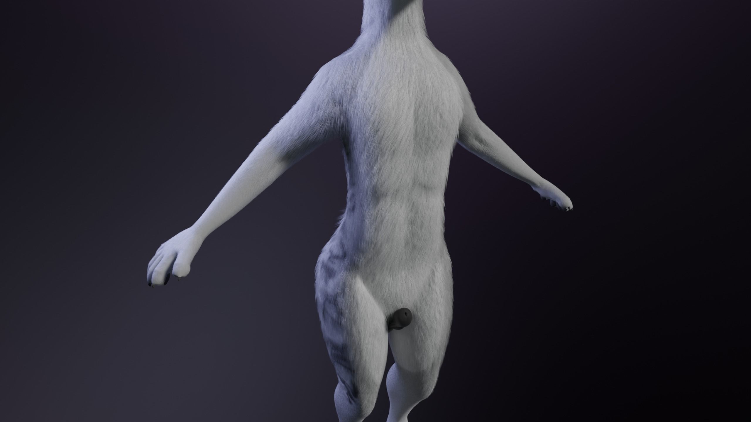 Magnus Anthro Wolf 3D model_7