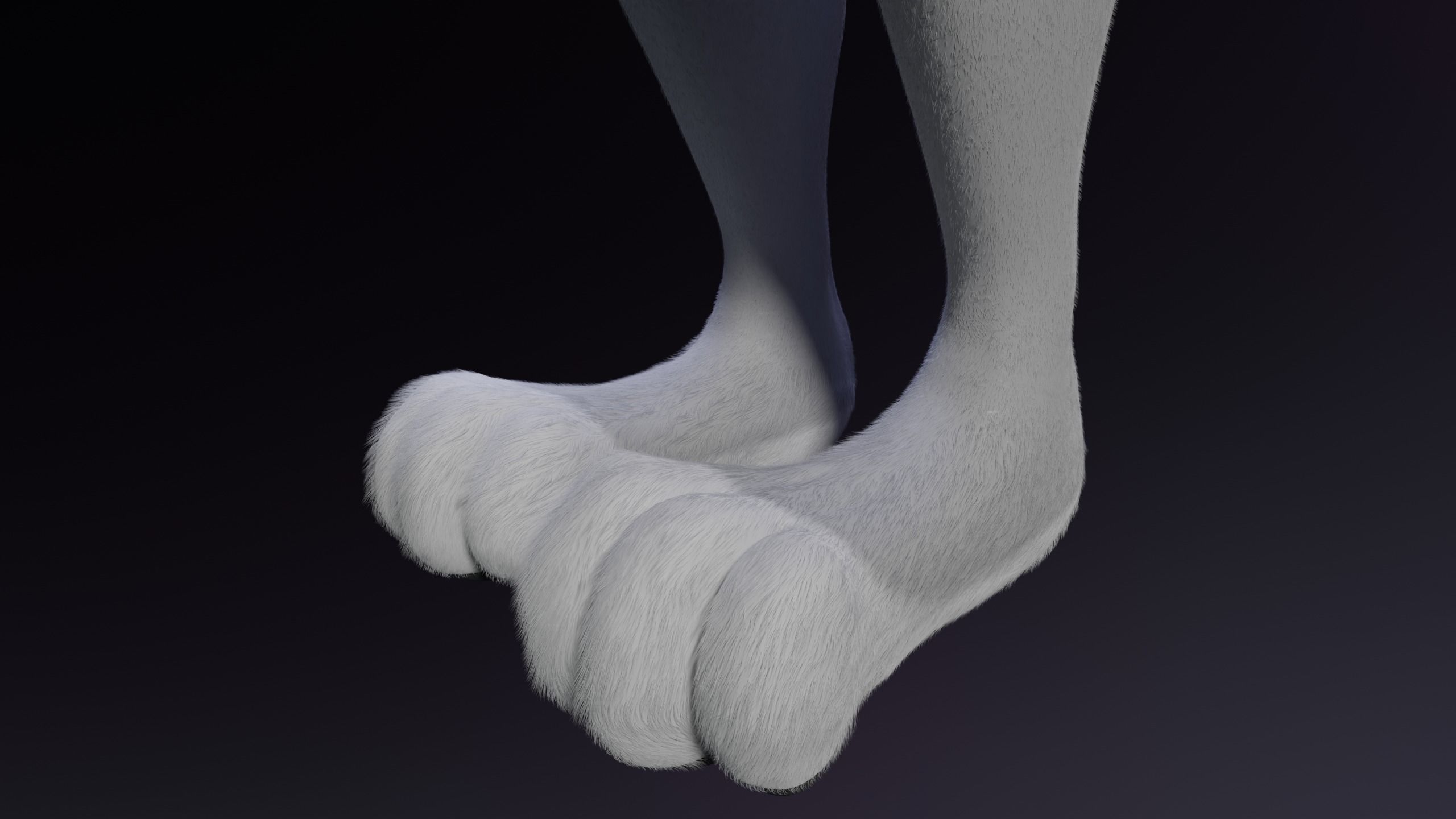 Magnus Anthro Wolf 3D model_14