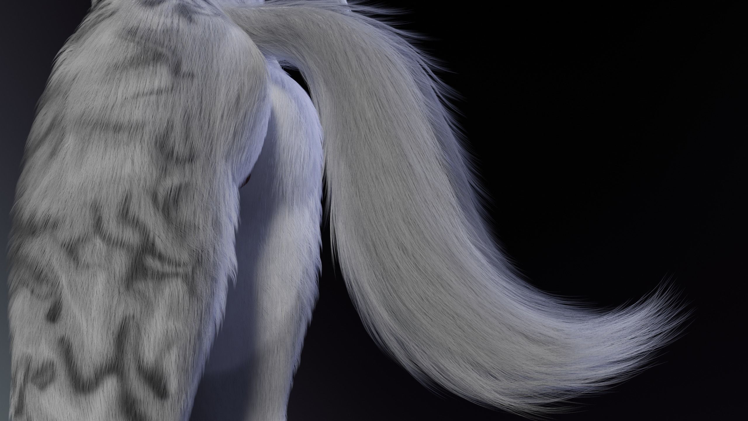 Magnus Anthro Wolf 3D model_11