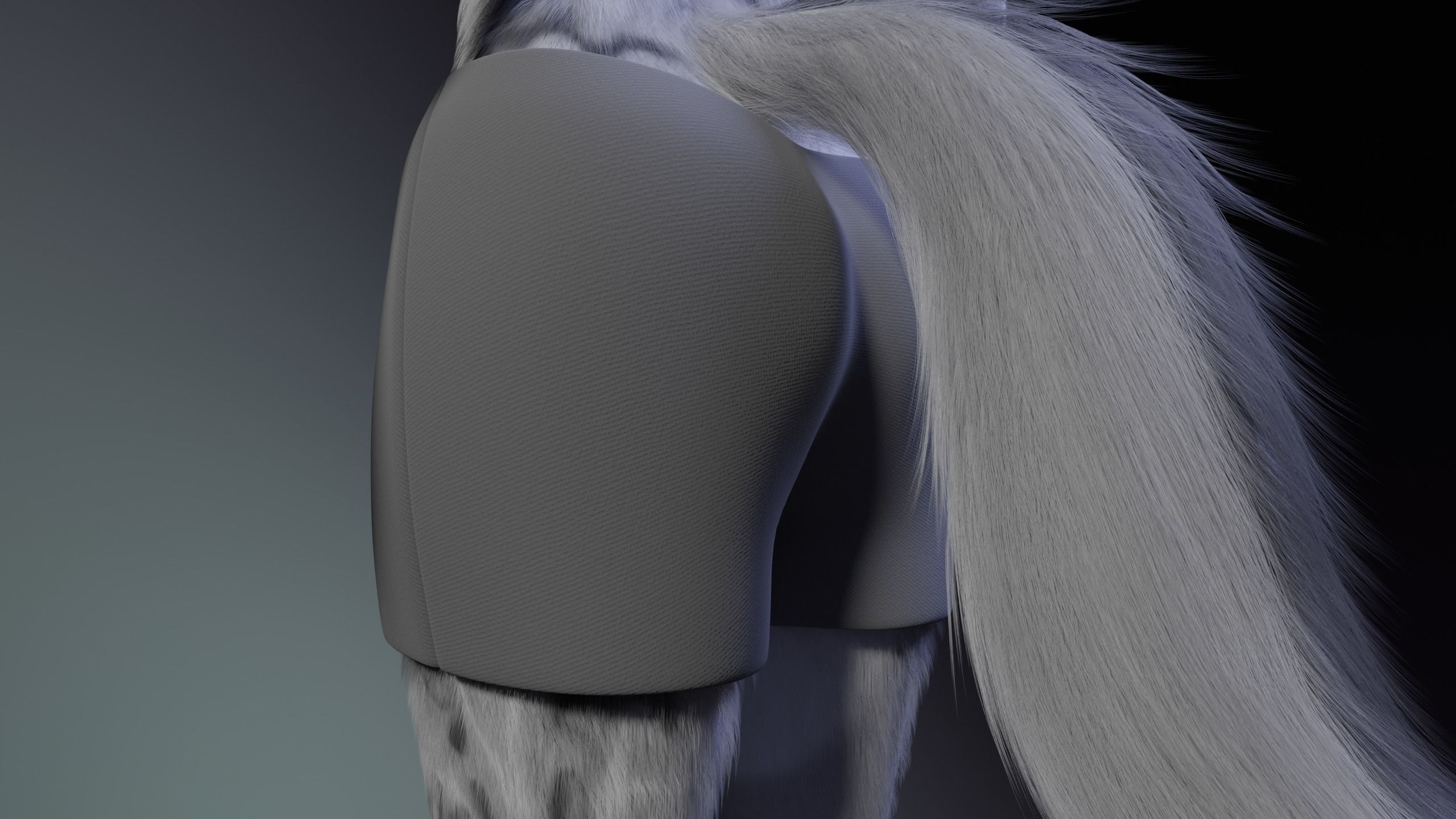 Magnus Anthro Wolf 3D model_30