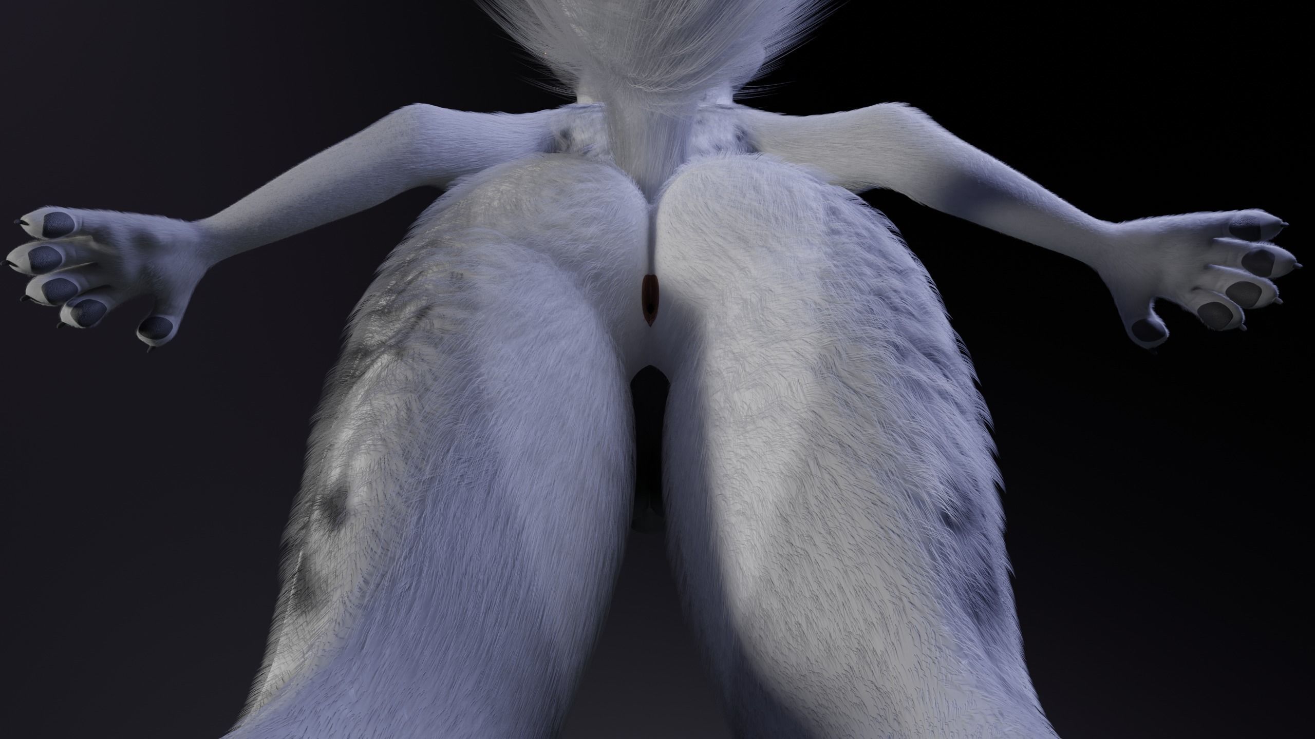 Magnus Anthro Wolf 3D model_17