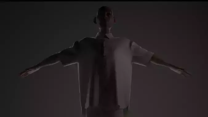 Steven Stylized NPR or Non-Photo Realistic