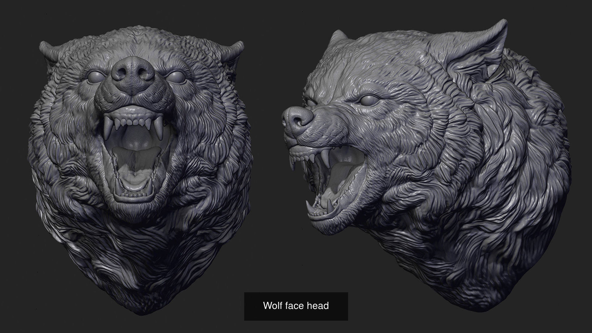 Wolf head colltction 3D Model Collection_1