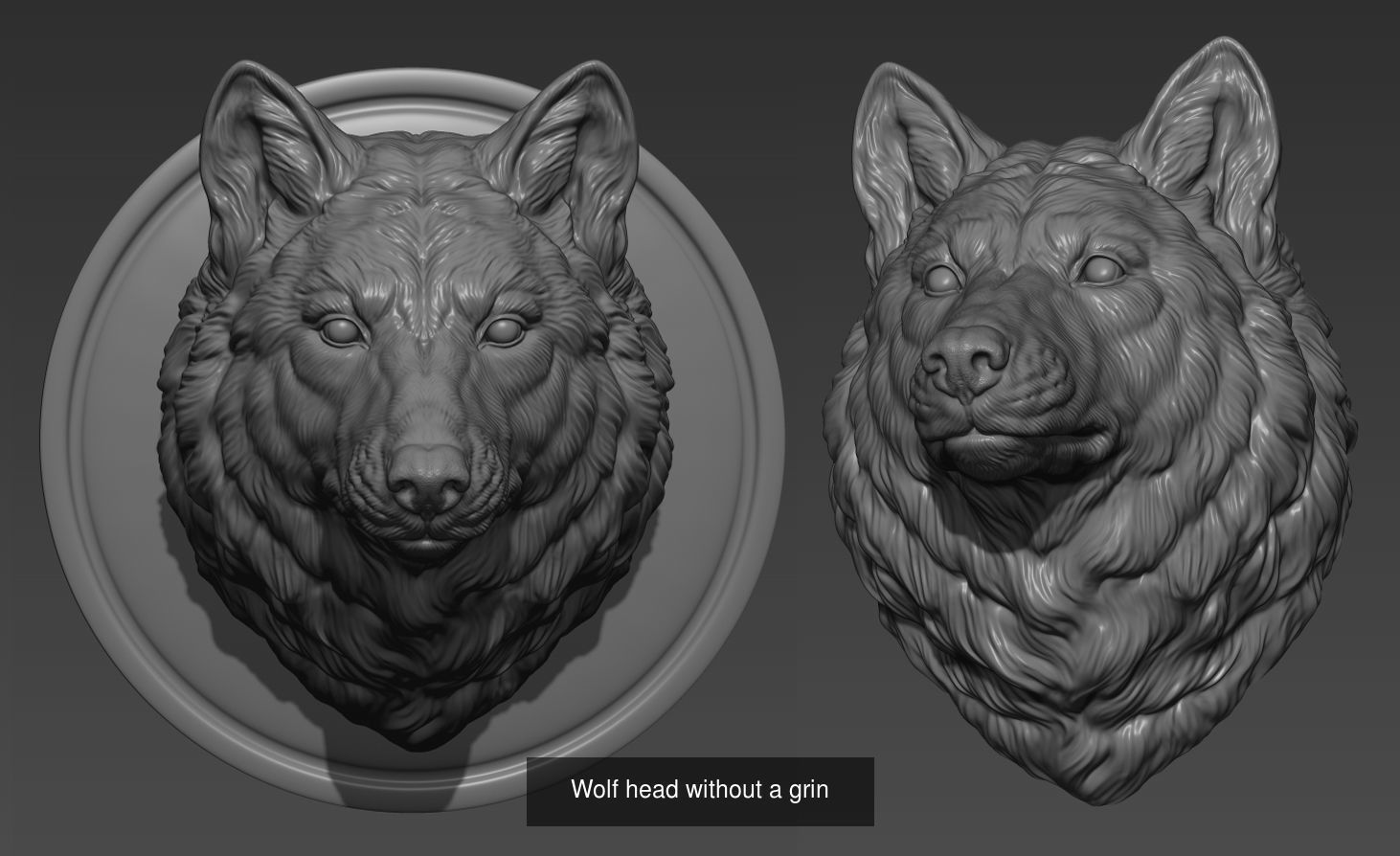 Wolf head colltction 3D Model Collection_2