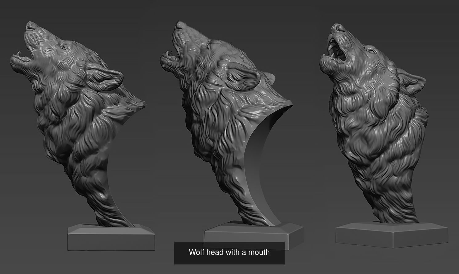 Wolf head colltction 3D Model Collection_5