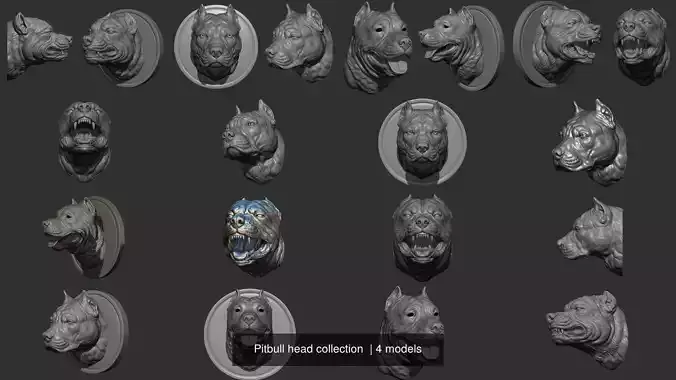Pitbull head collection  