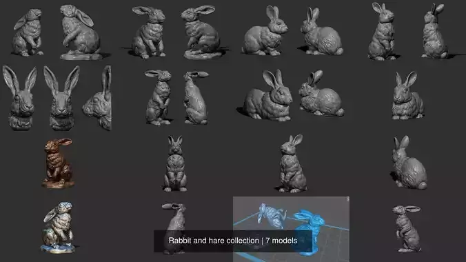 Rabbit and hare collection 