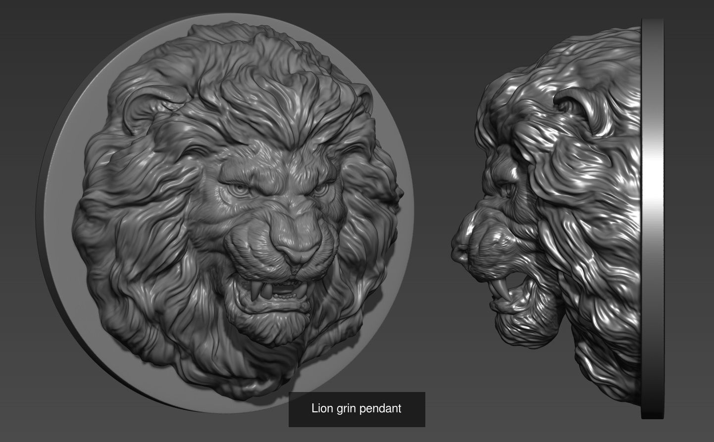 Lion head collection _5