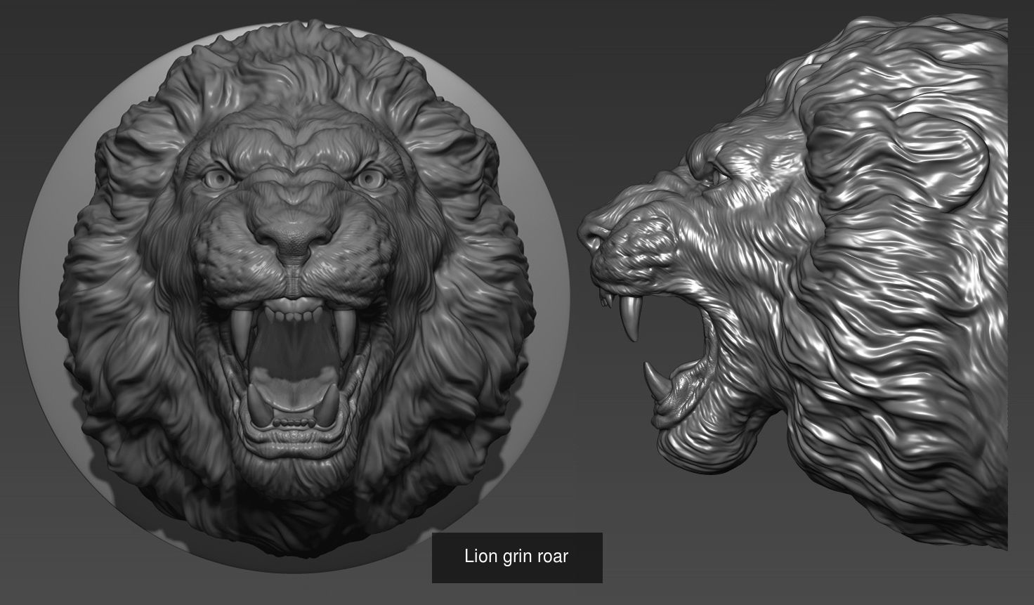 Lion head collection _7