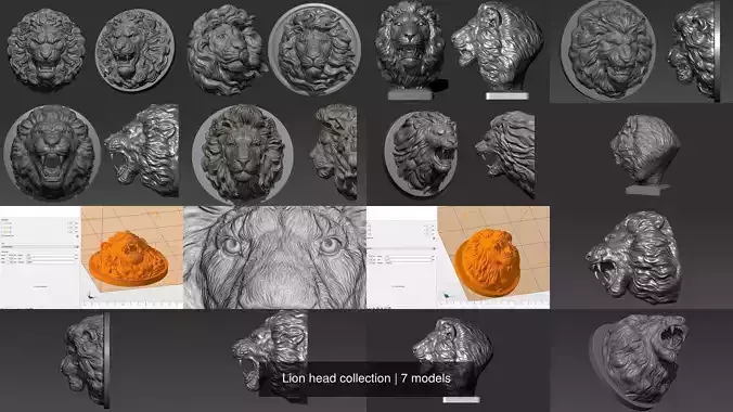 Lion head collection 
