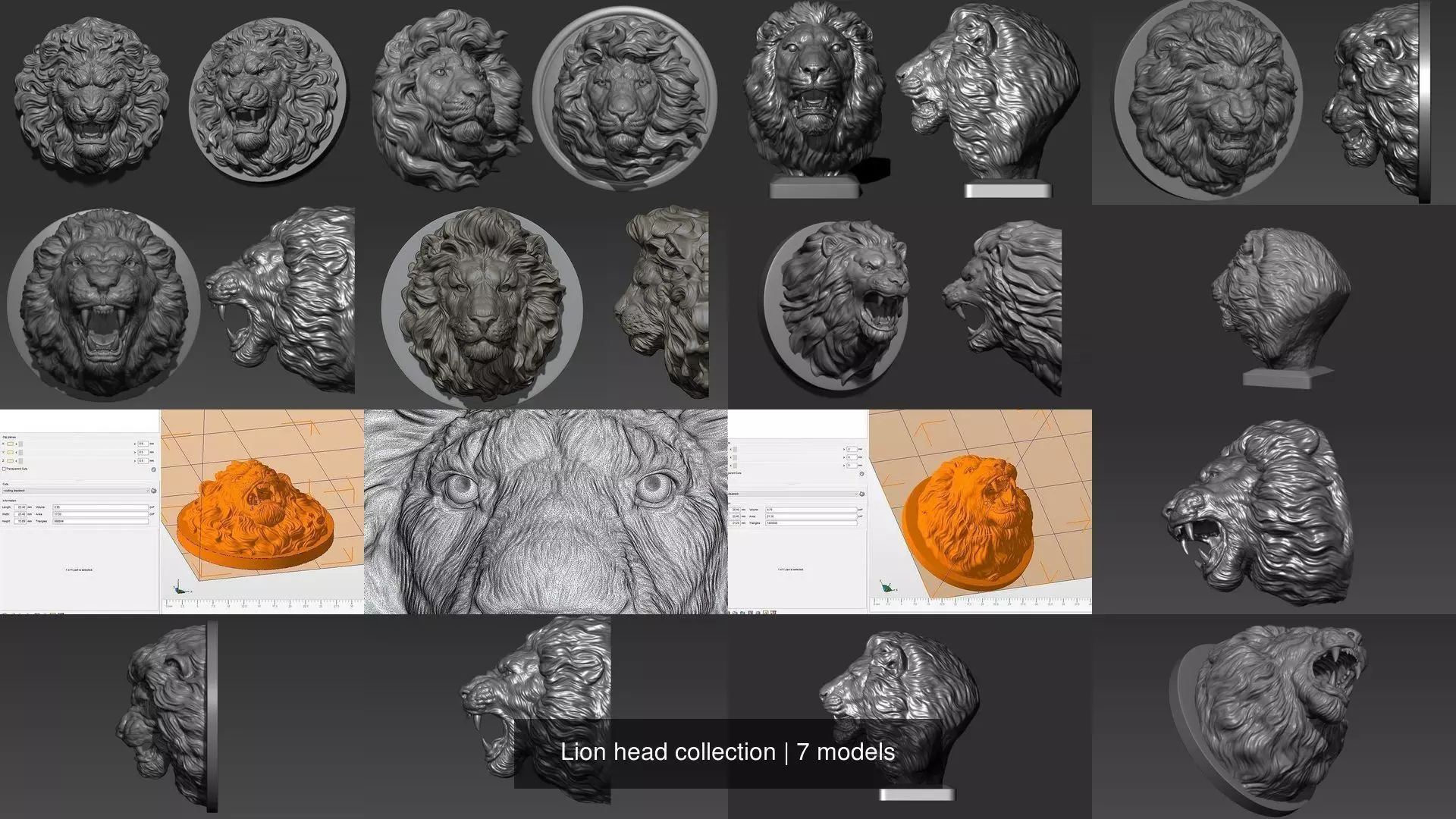 Lion head collection _0