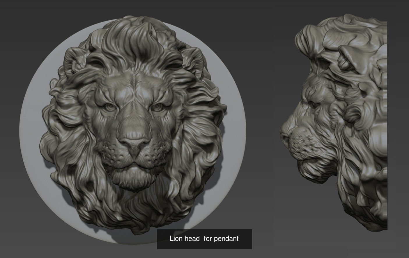 Lion head collection _2
