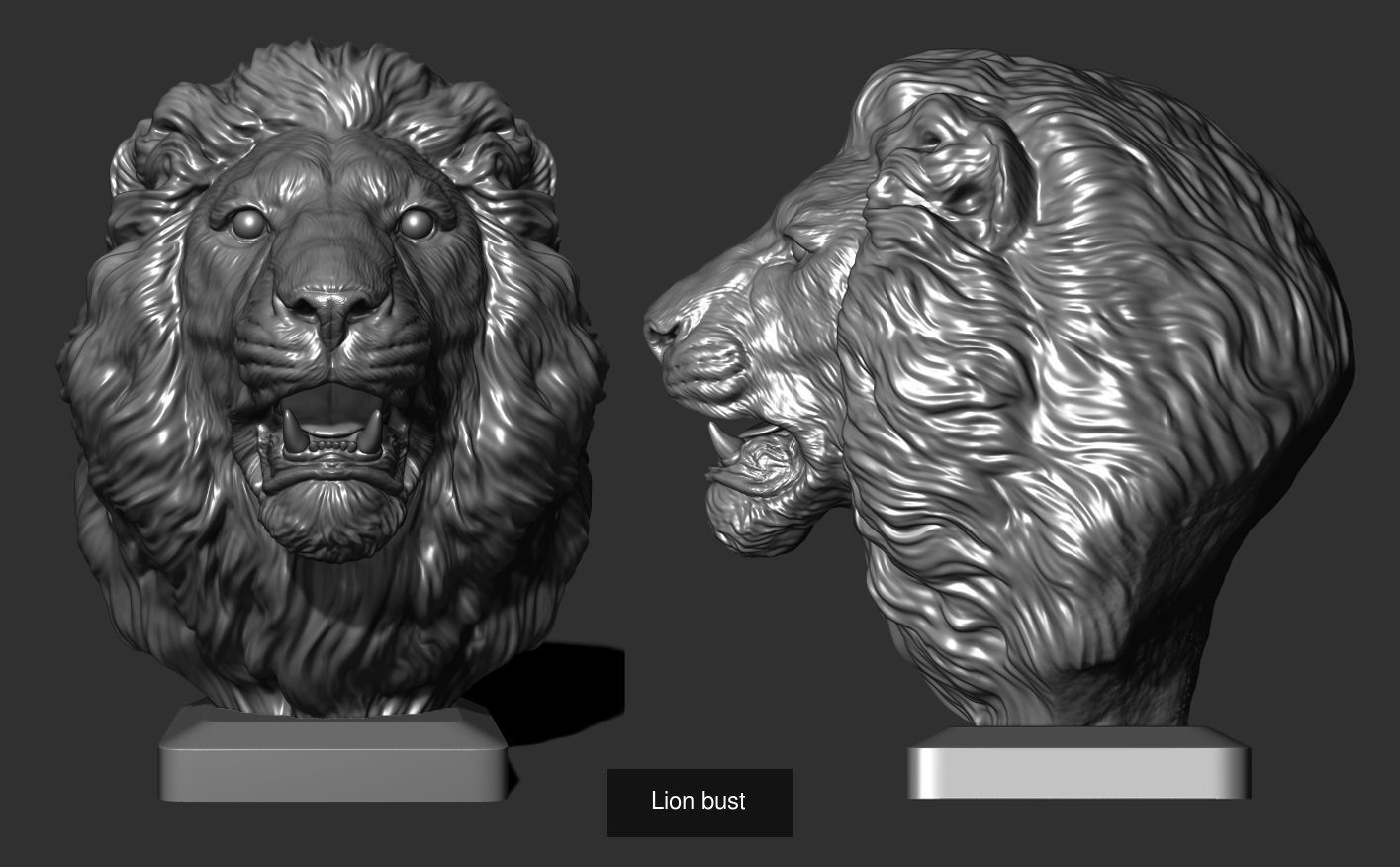 Lion head collection _4