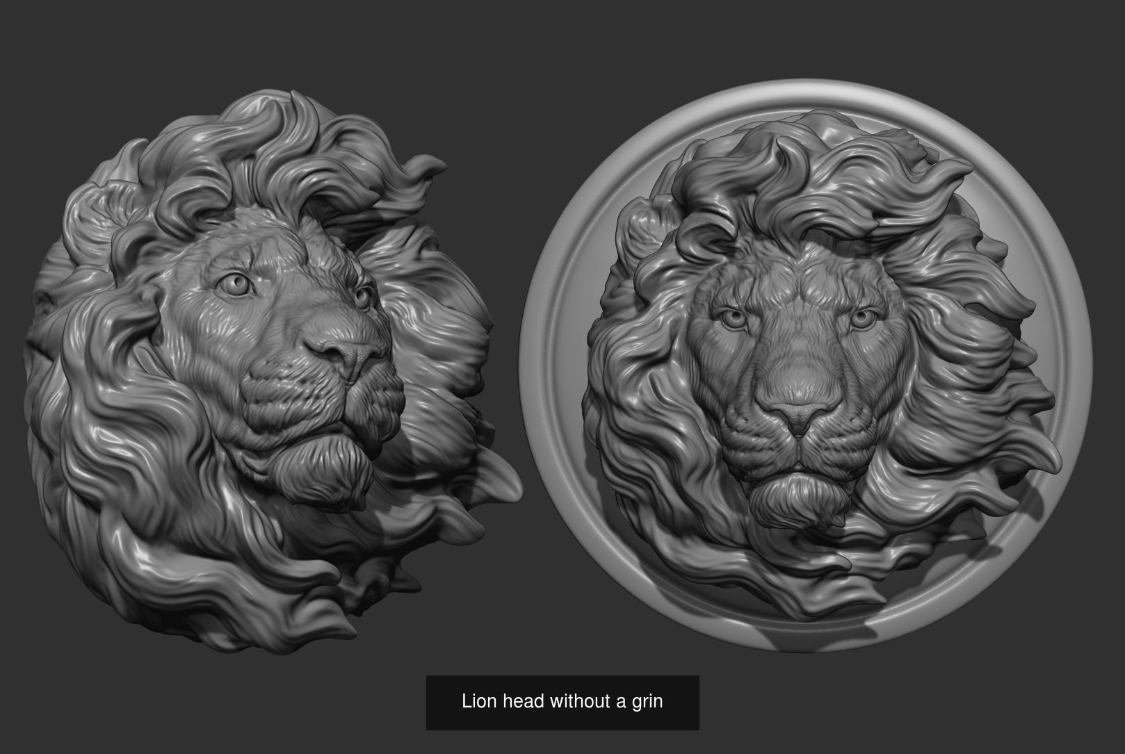 Lion head collection _6