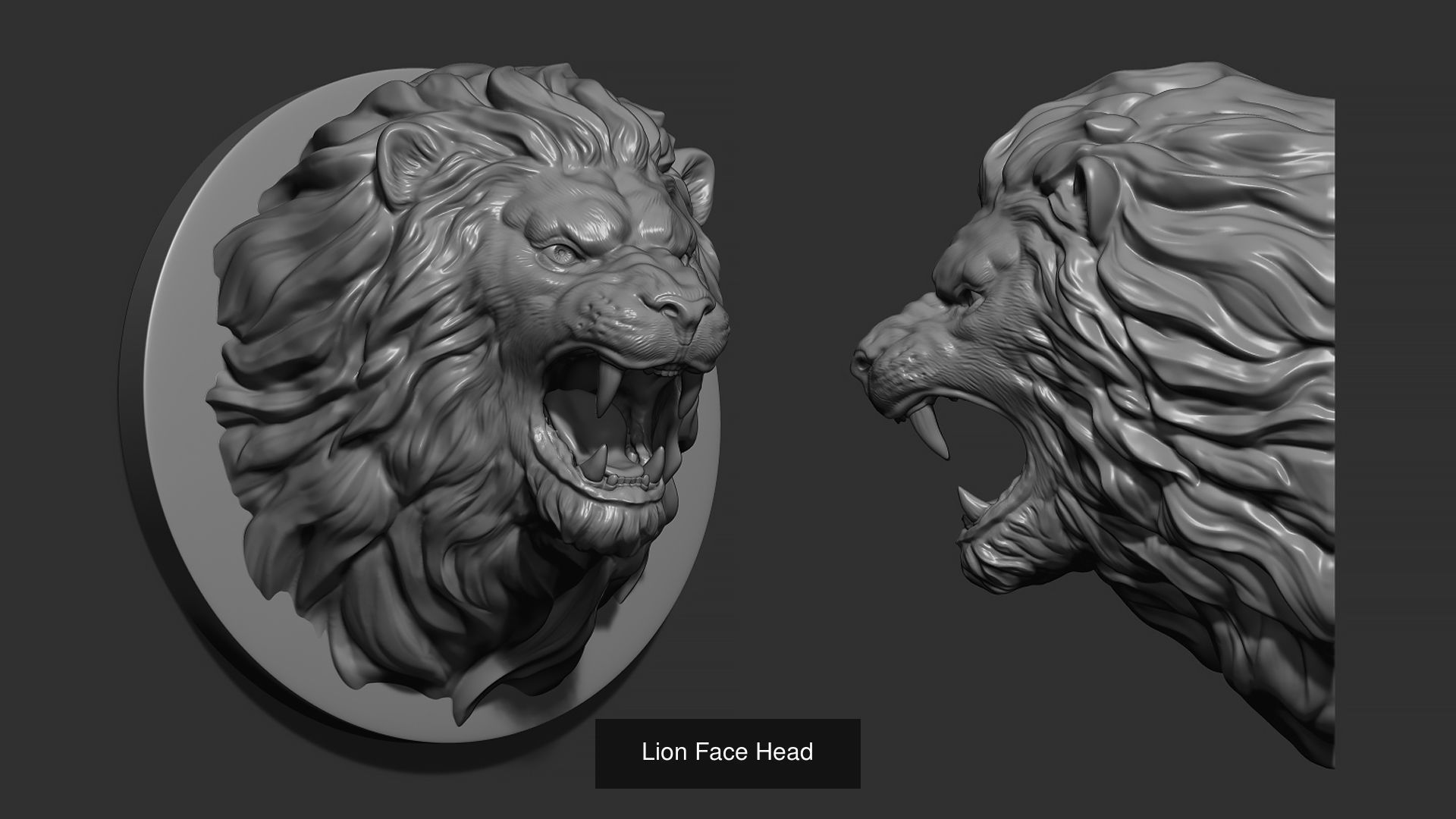 Lion head collection _3