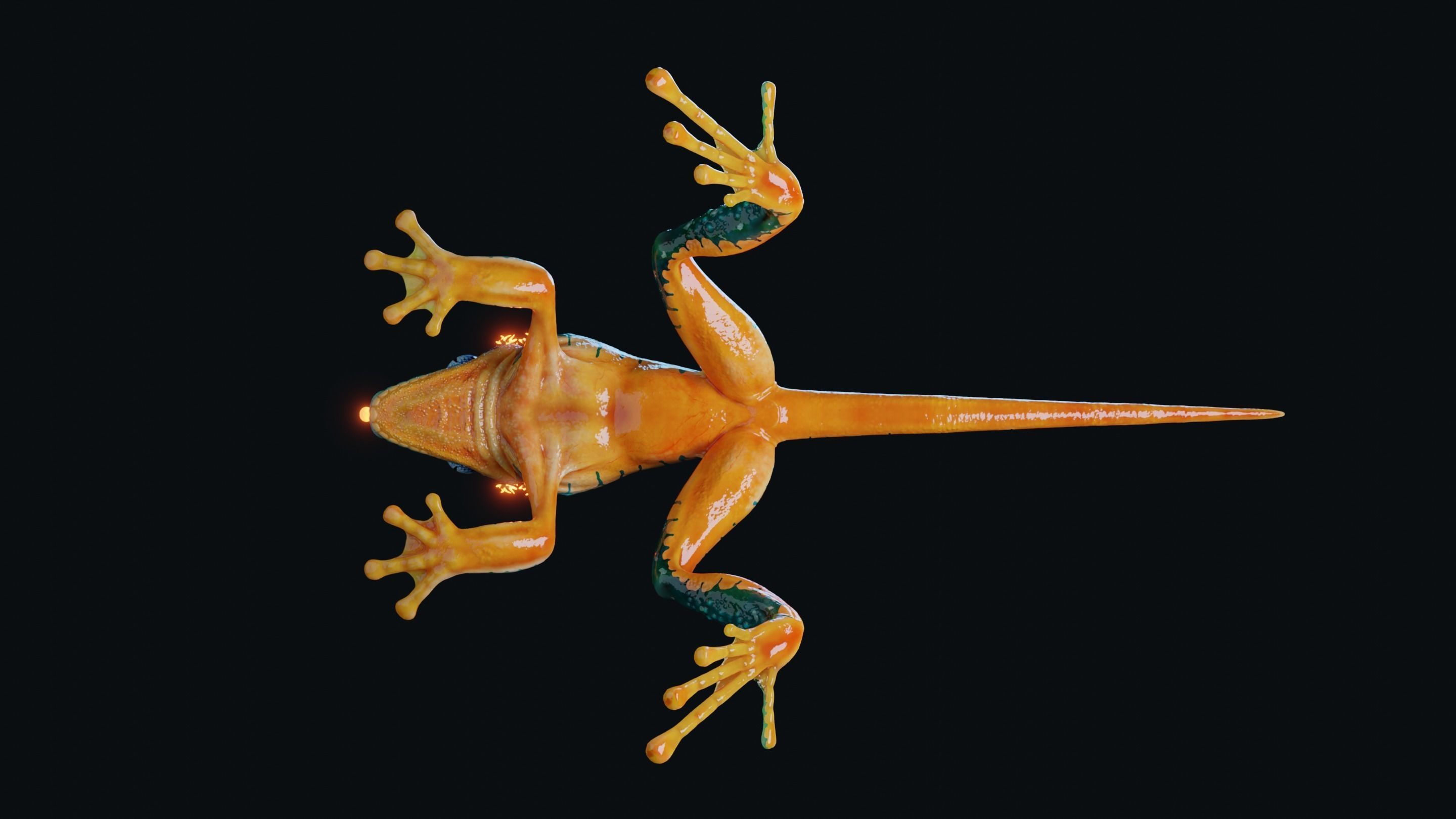 Fantasy Reptile rigged x6 color variatios Low-poly 3D model_23