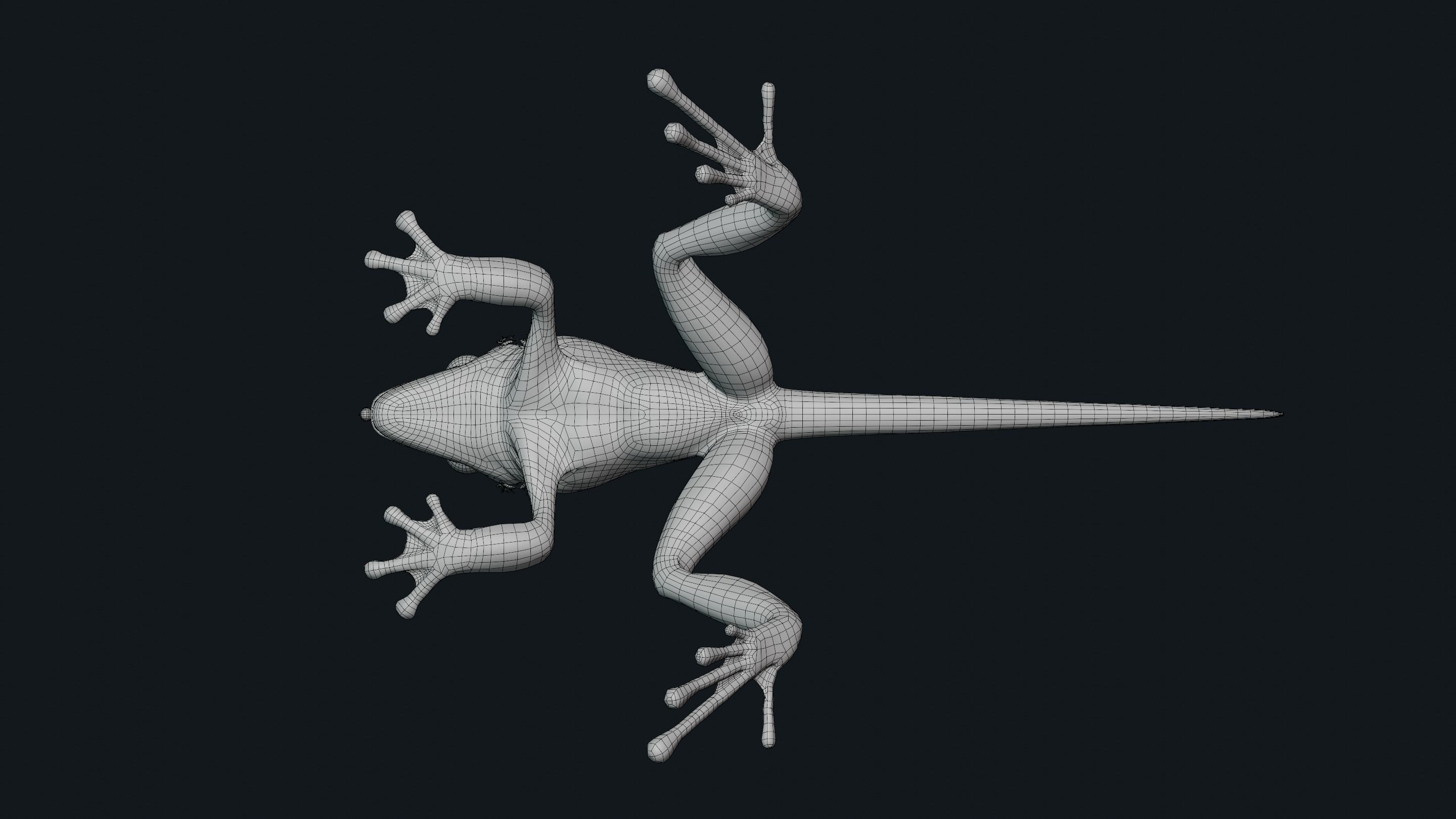 Fantasy Reptile rigged x6 color variatios Low-poly 3D model_24