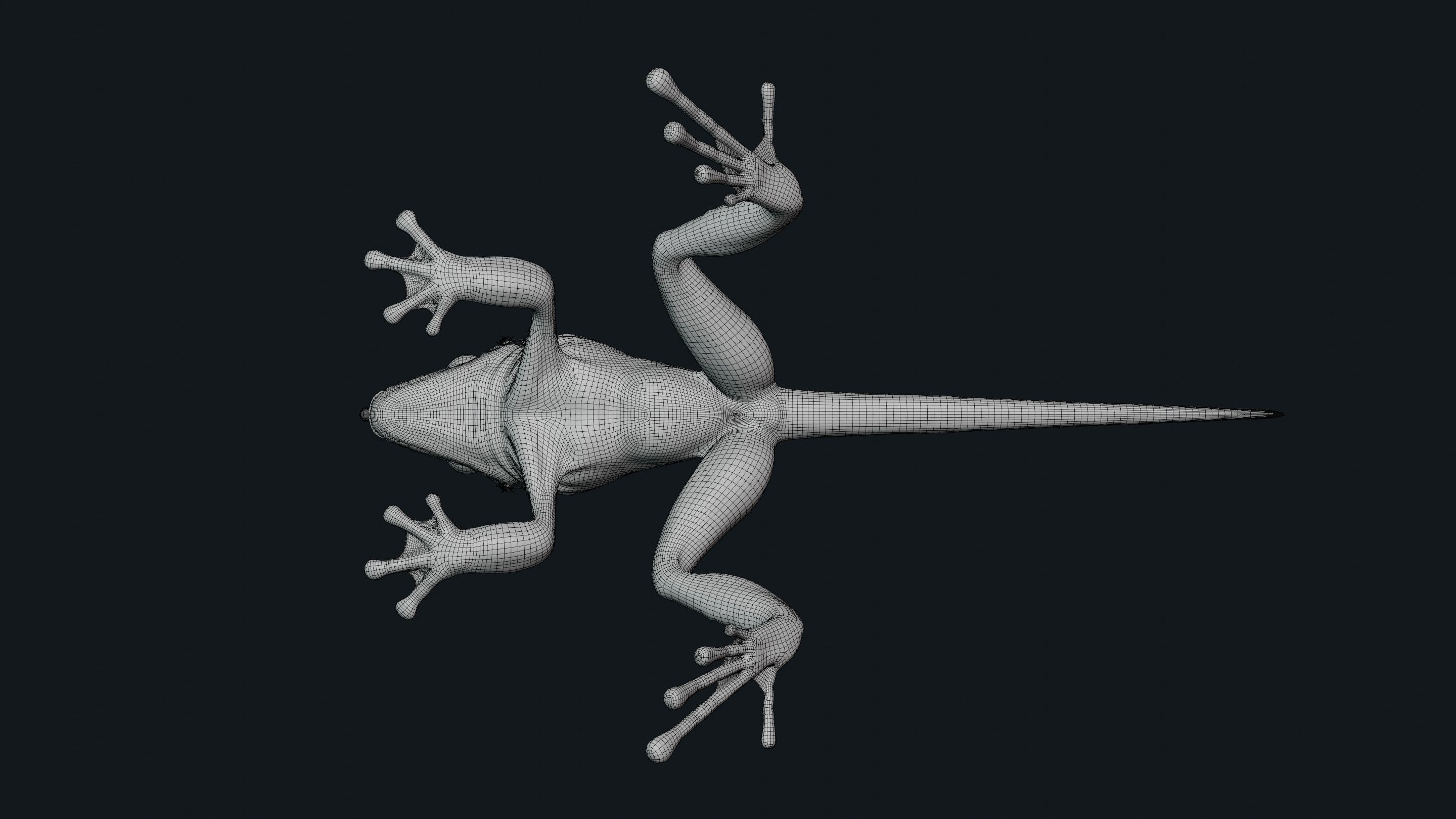 Fantasy Reptile rigged x6 color variatios Low-poly 3D model_25