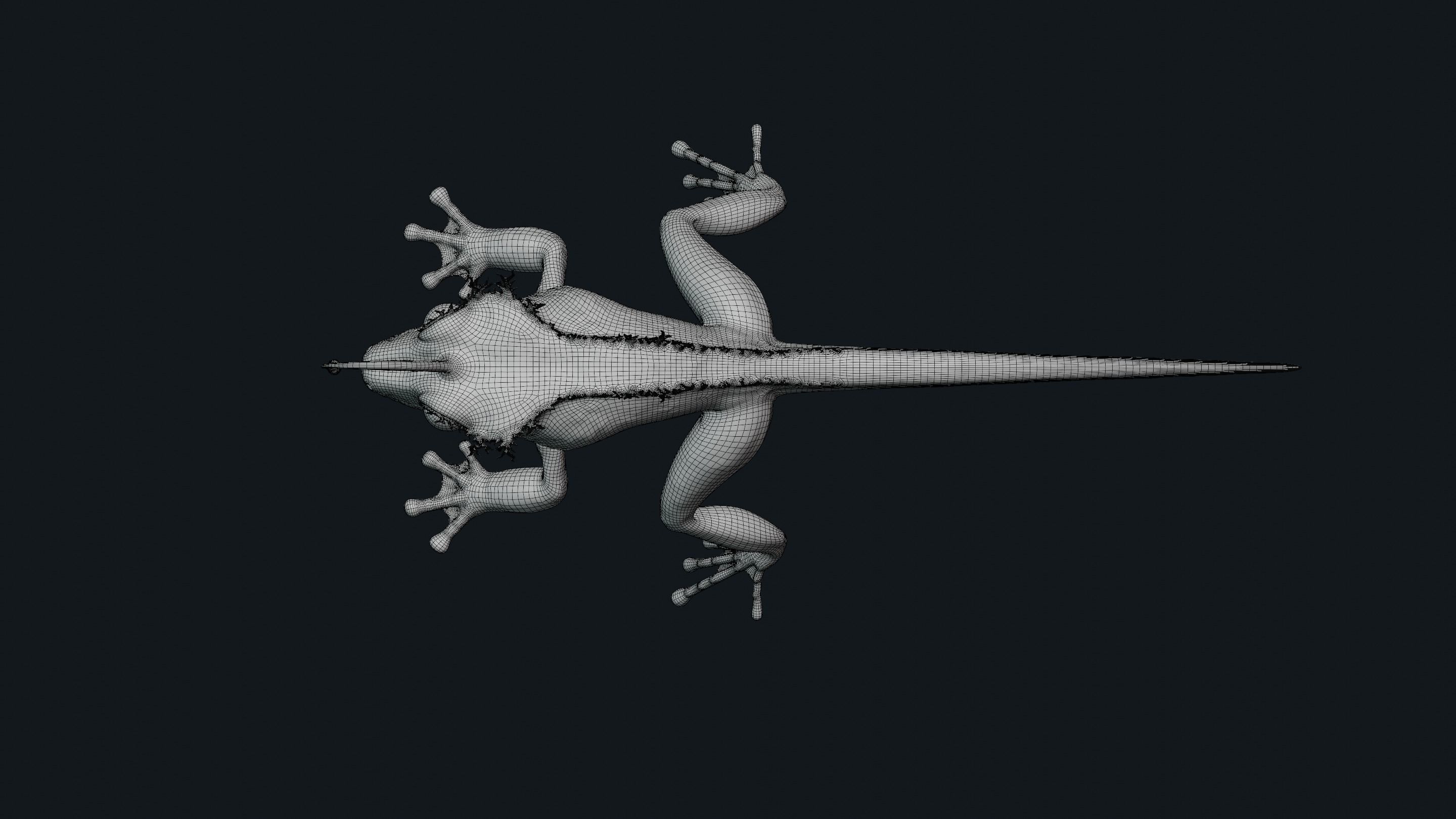 Fantasy Reptile rigged x6 color variatios Low-poly 3D model_22