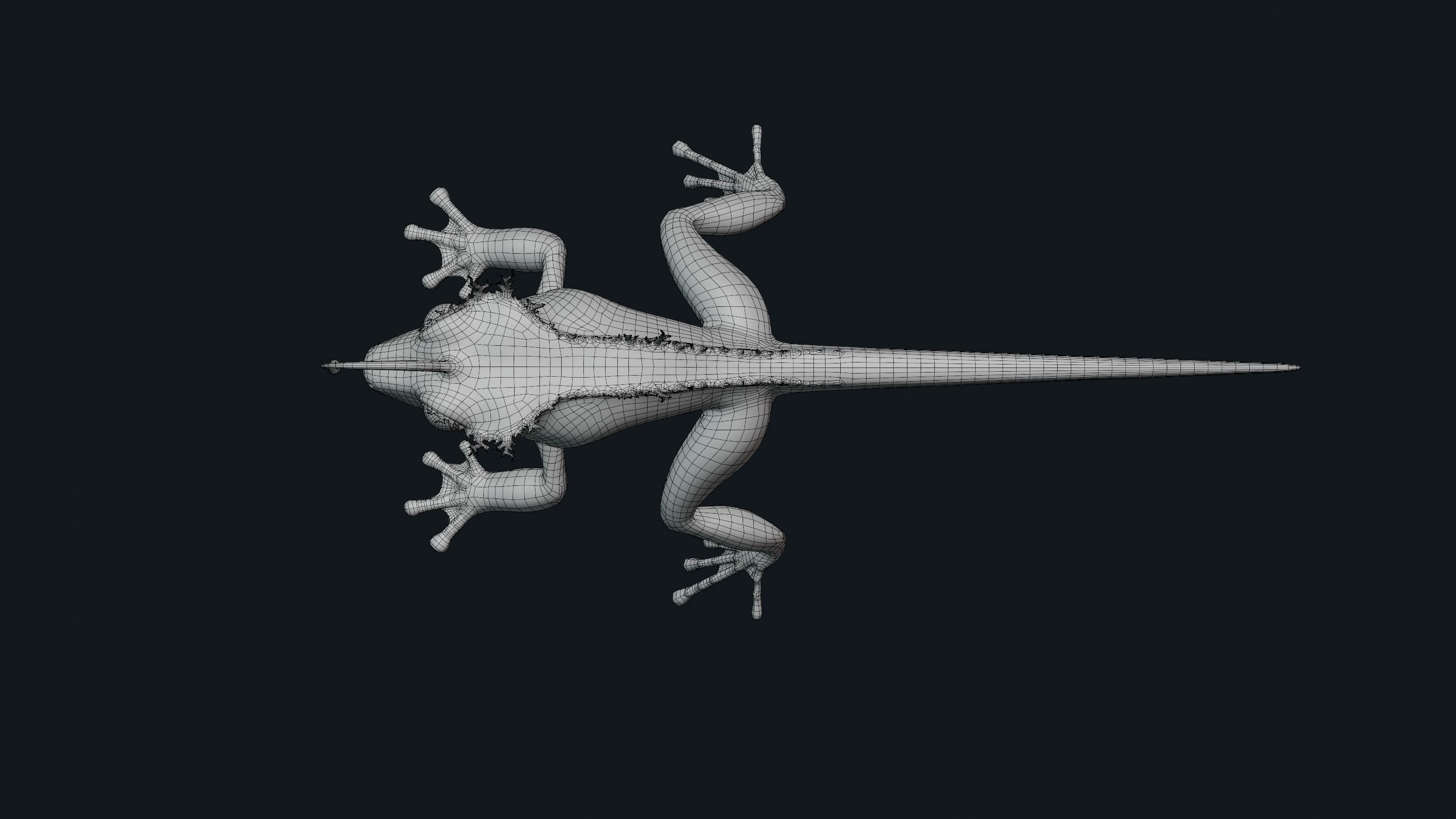 Fantasy Reptile rigged x6 color variatios Low-poly 3D model_21