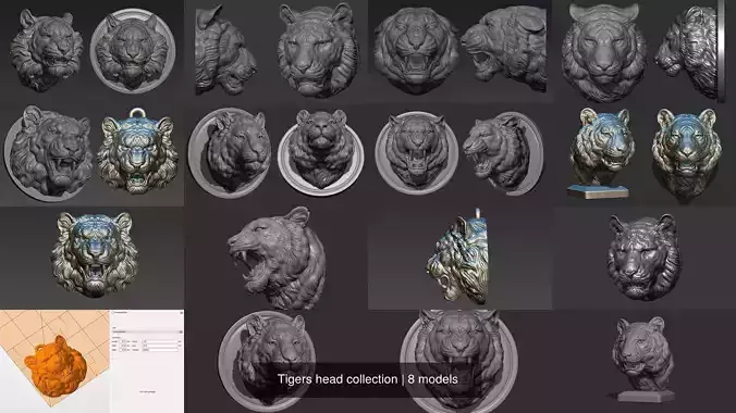 Tigers head collection 