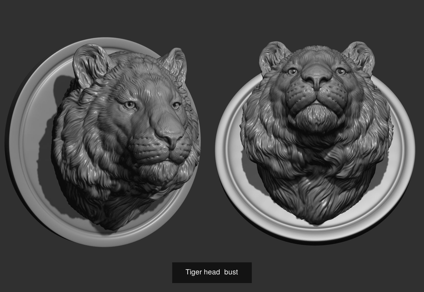 Tigers head collection _5