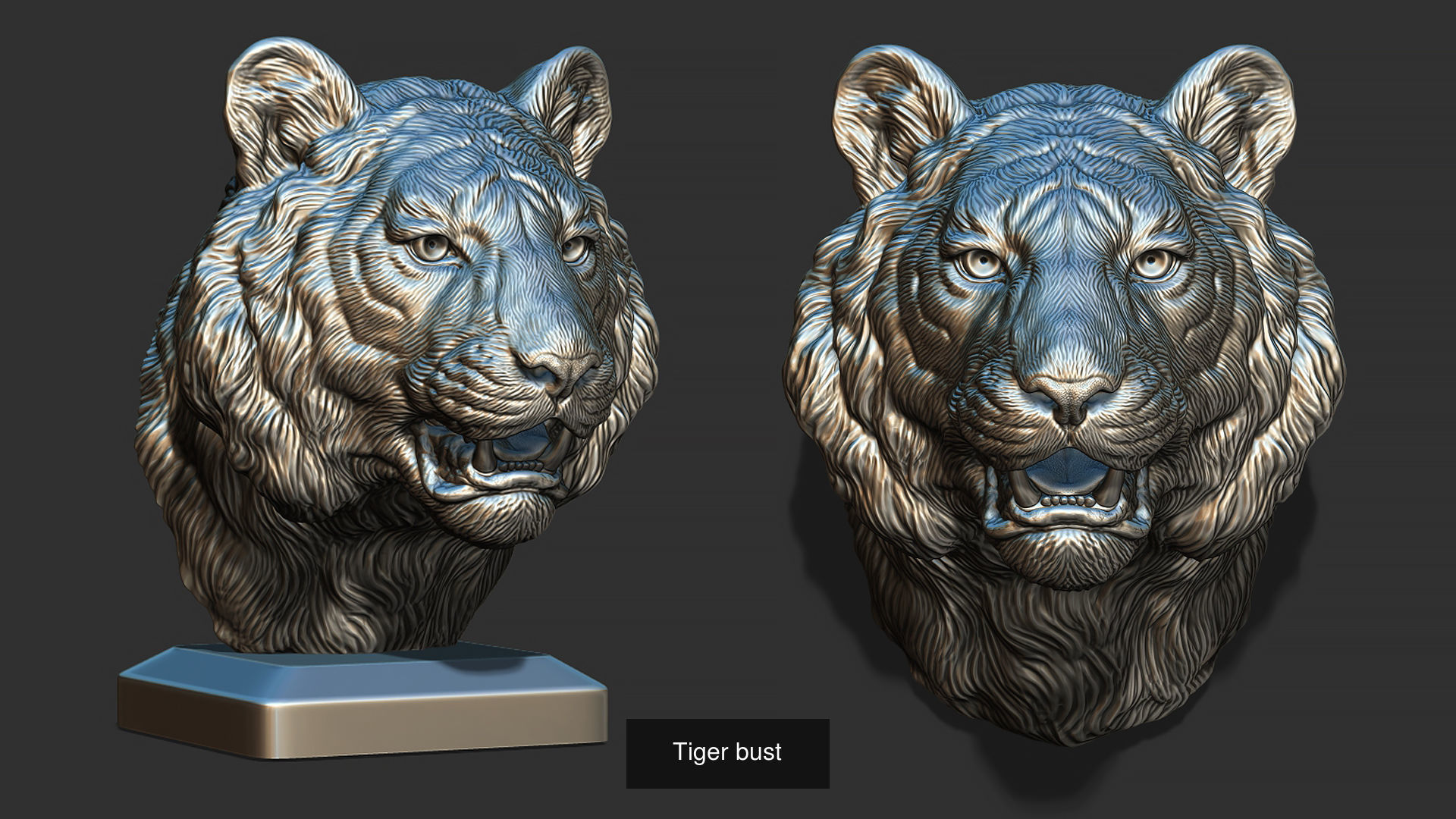 Tigers head collection _3