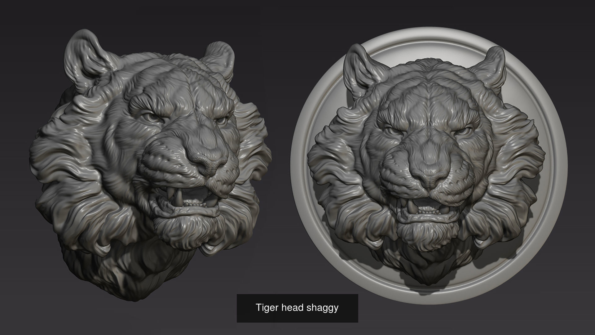 Tigers head collection _4