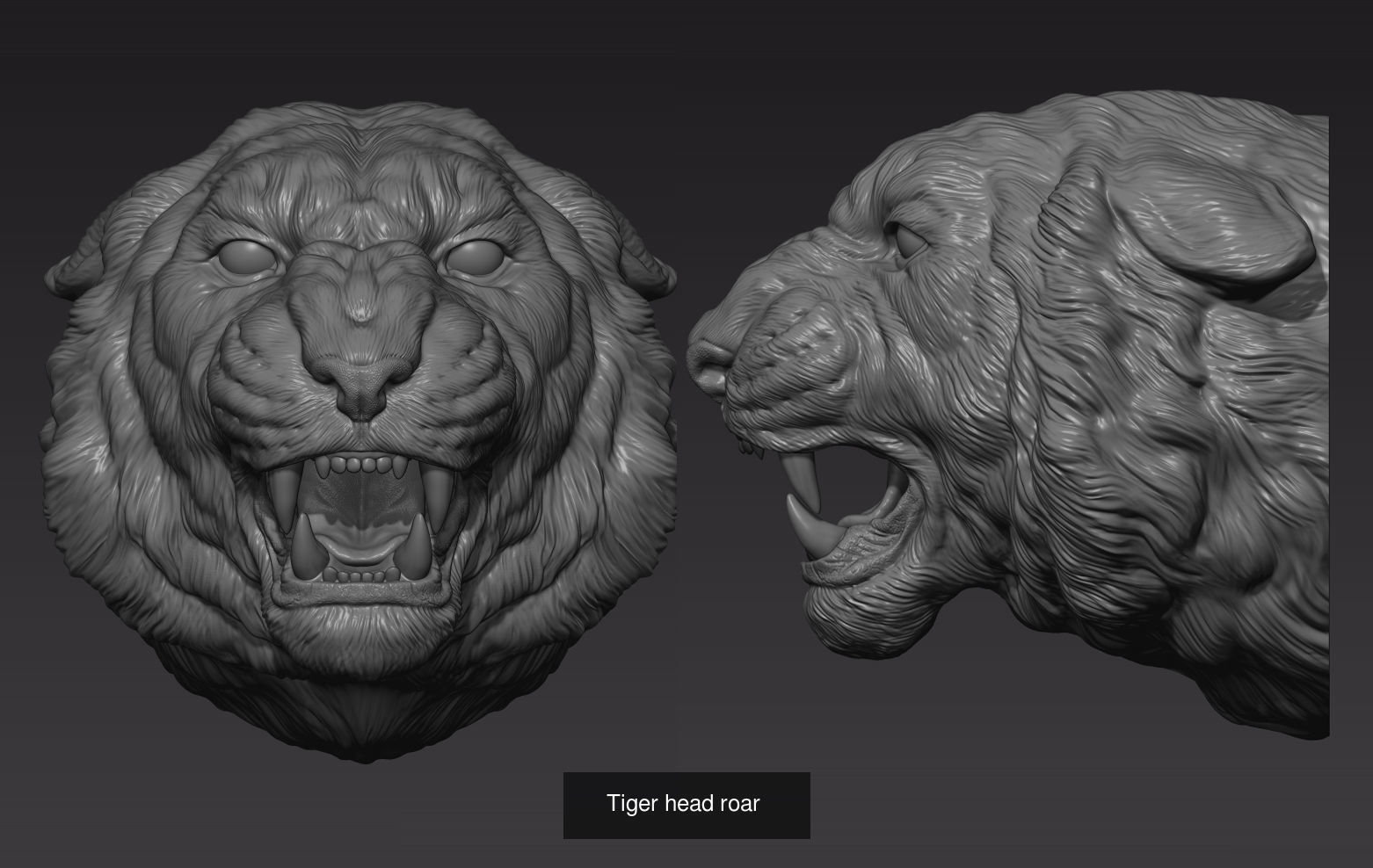 Tigers head collection _7
