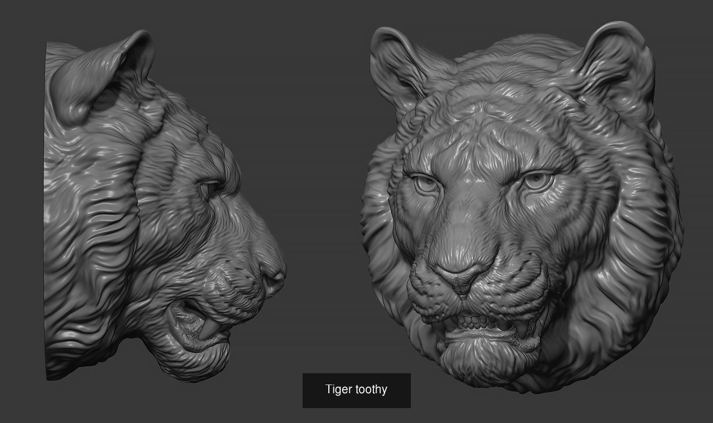 Tigers head collection _6