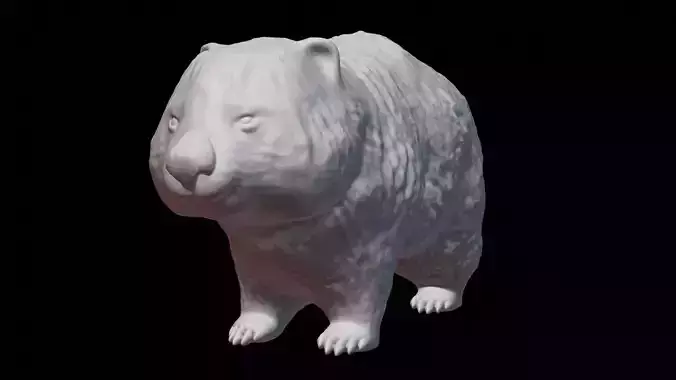 Australian Common Wombat 3D print model