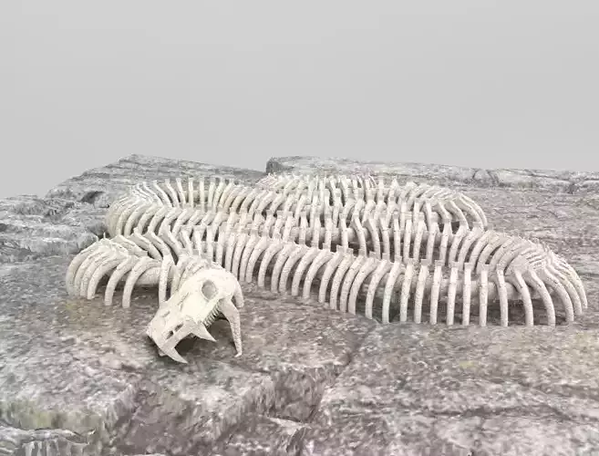 Giant Snake Skeleton Low-poly 3D model