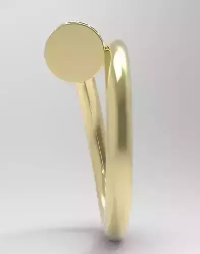 A shiny ring 3D model